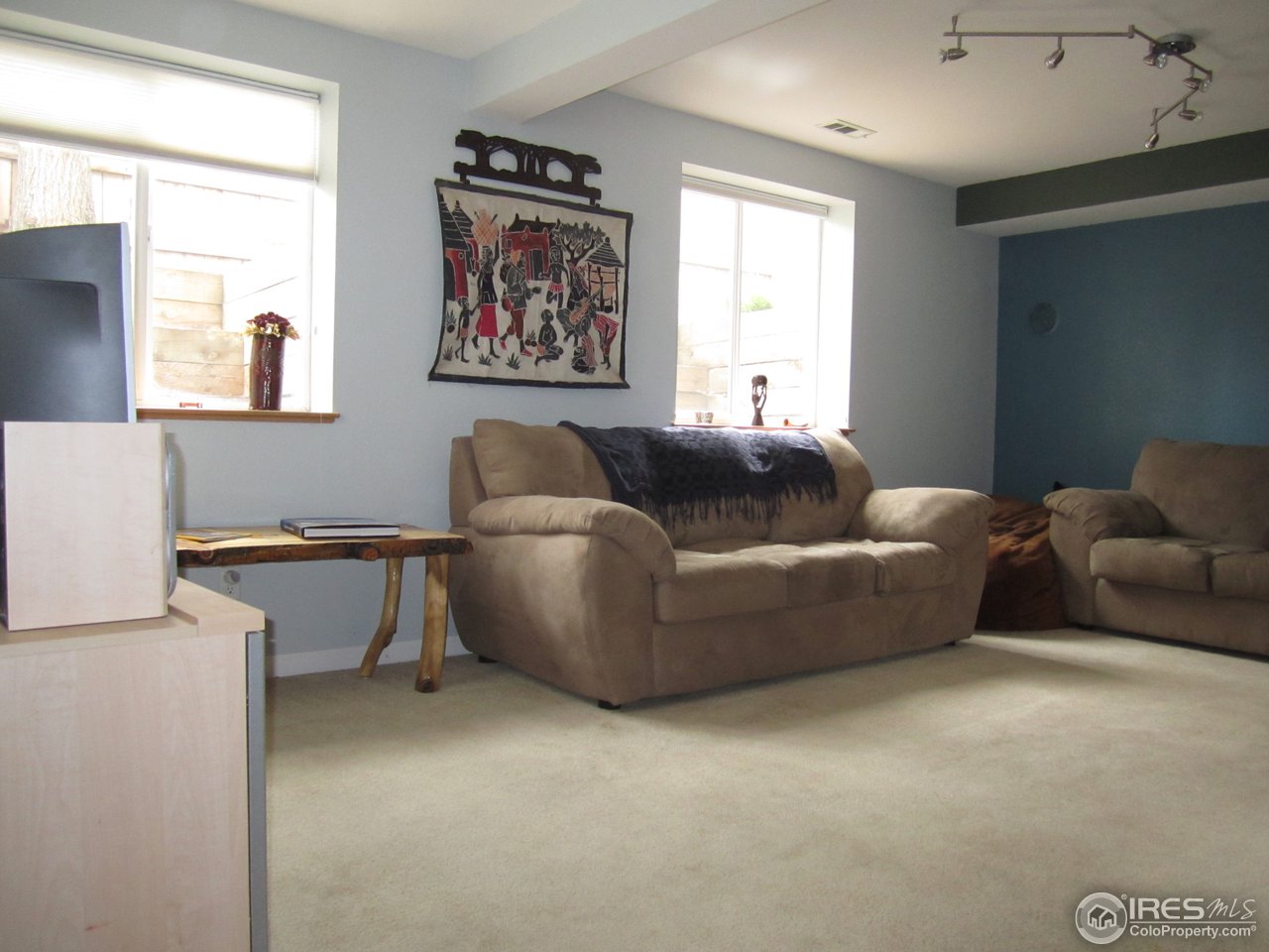 509 East Prospect Road Fort Collins, CO 80525 - Photo 13 of 19 Lower Family Room