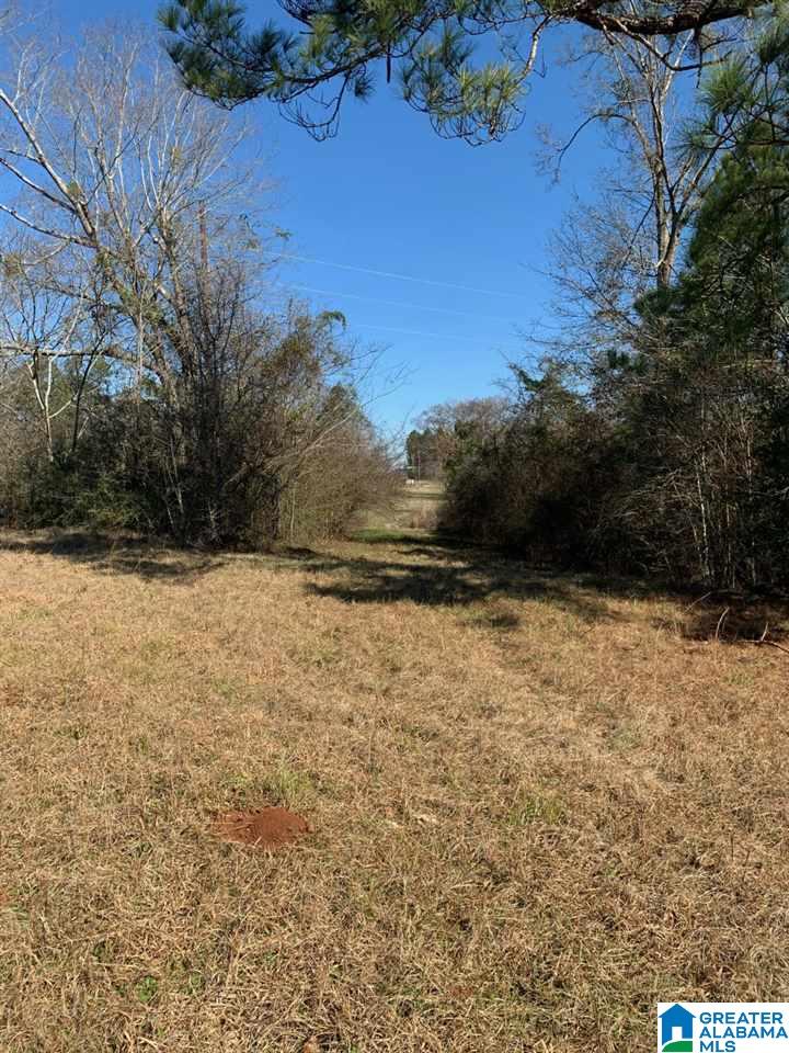 22 Highway Selma, AL 36703 - Photo 2 of 3