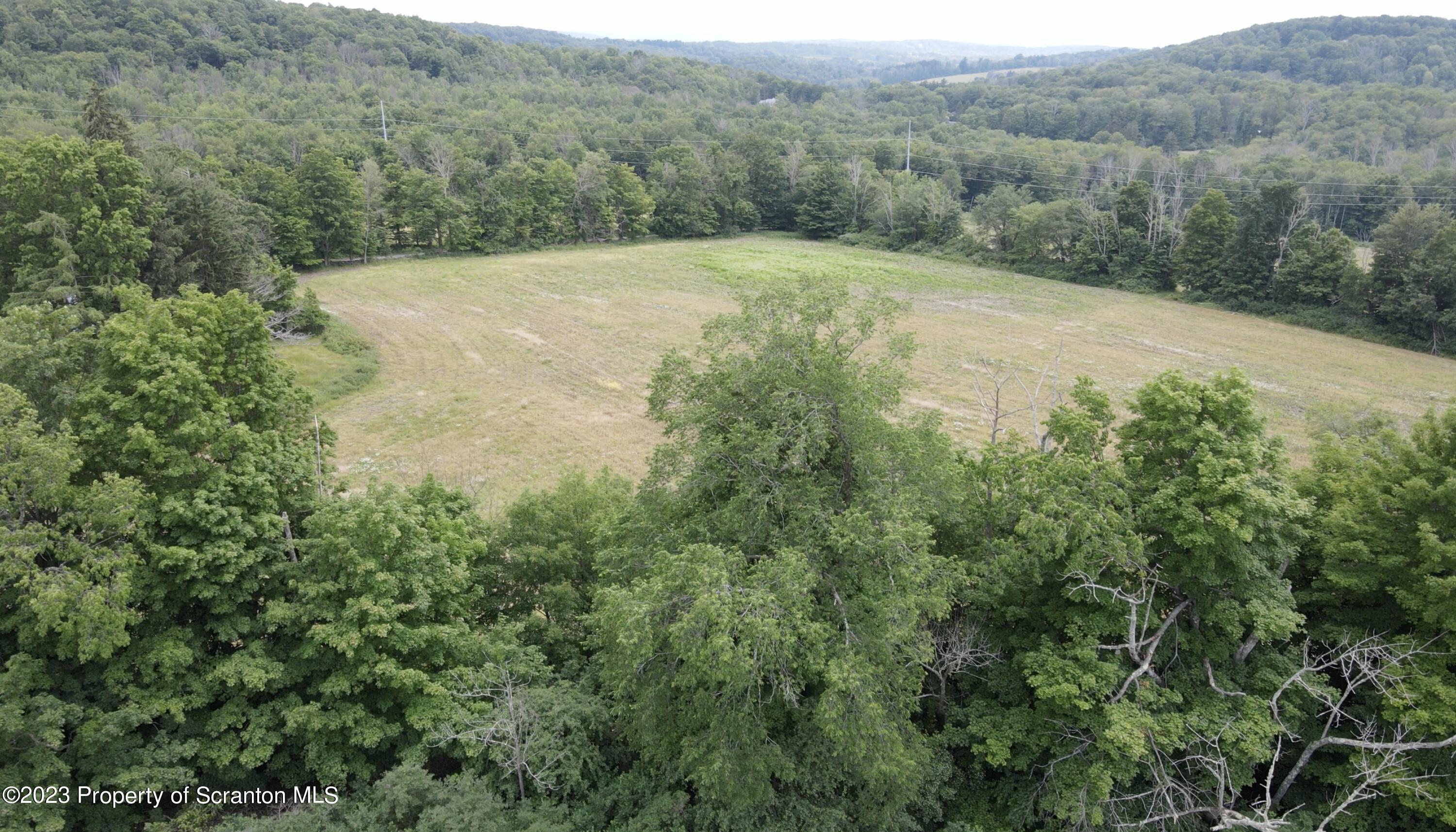 a view of a dry yard