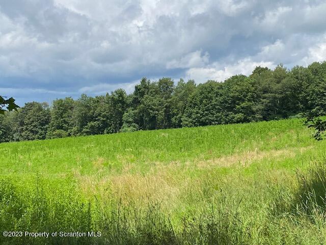 Lot 4 Stone Road Dalton, PA 18414 - Photo 3 of 7