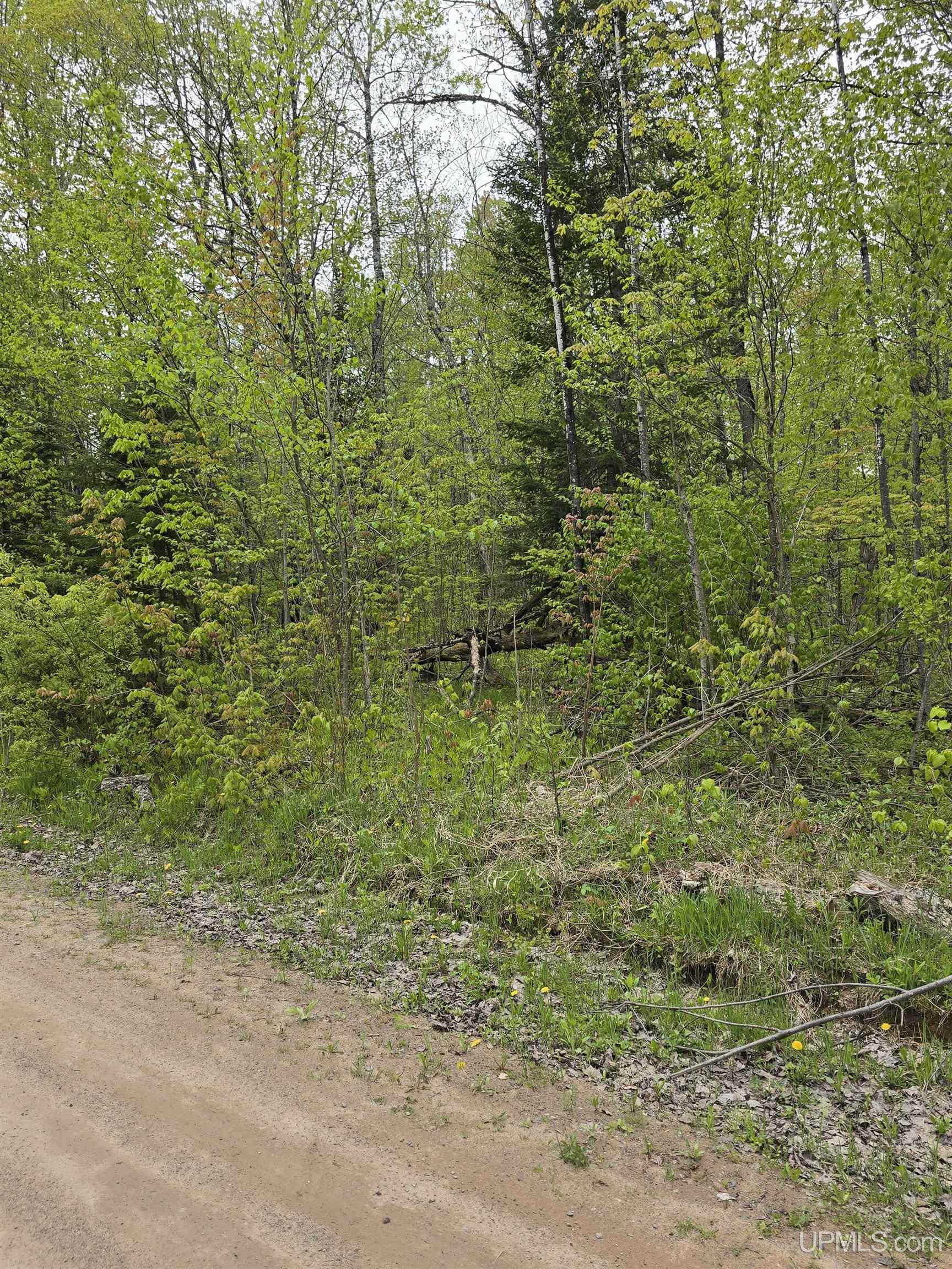 Lot 37 Yellow Road Pelkie, MI 49958 - Photo 34 of 34