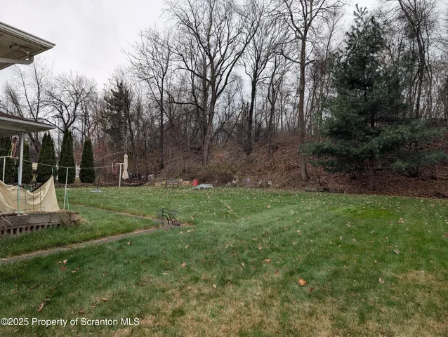 a view of a park with large trees
