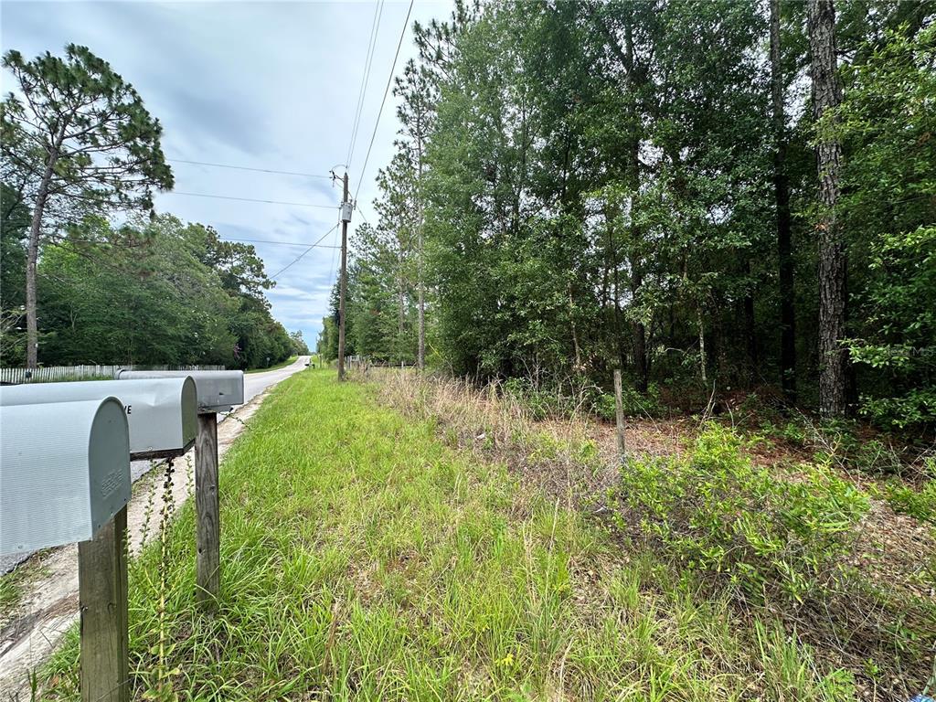 Tbd Northeast 65th Lane Bronson, FL 32621 - Photo 5 of 12