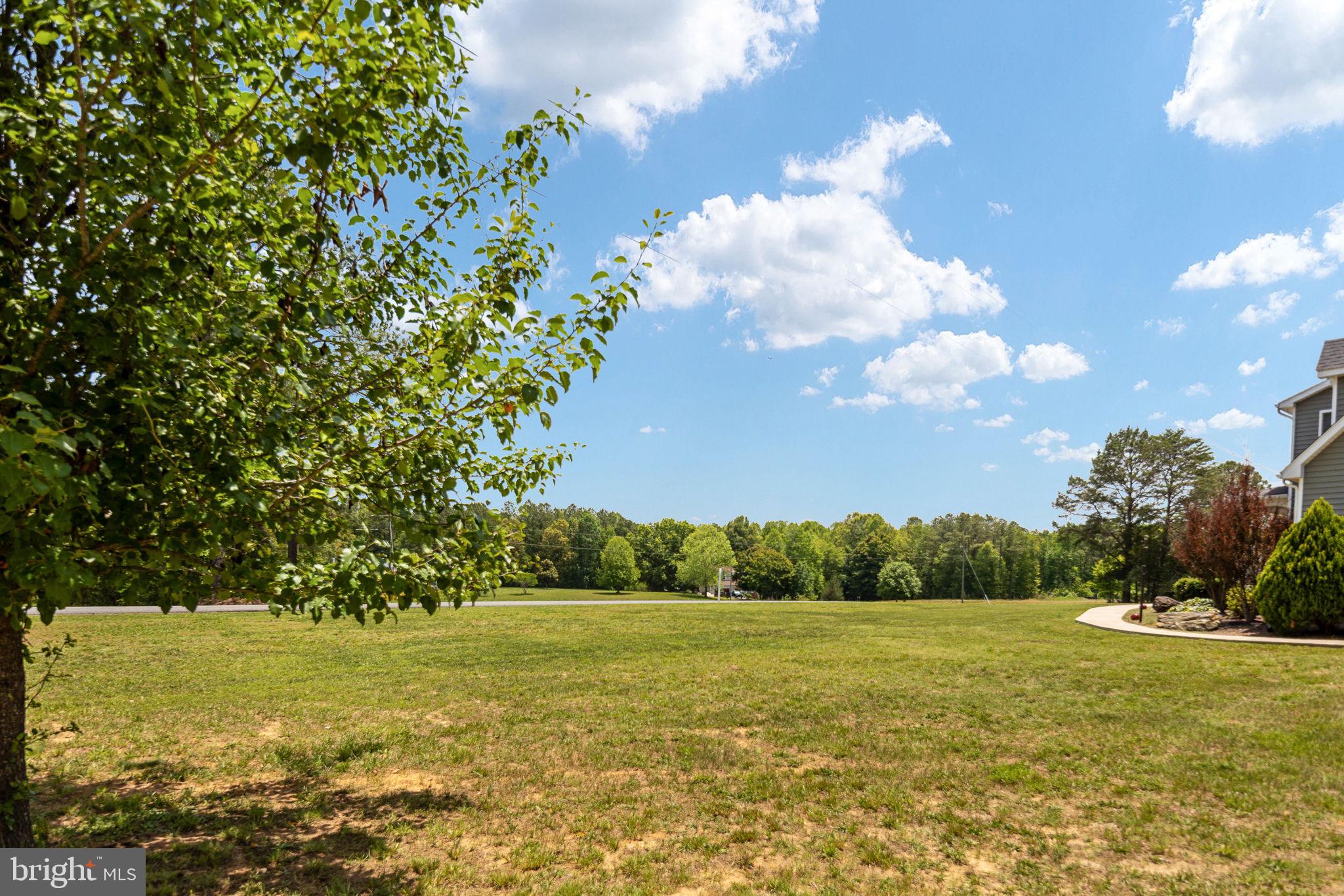 22088 Landora Bridge Road Ruther Glen, VA 22546 - Photo 115 of 122 Spacious green oasis under blue skies.