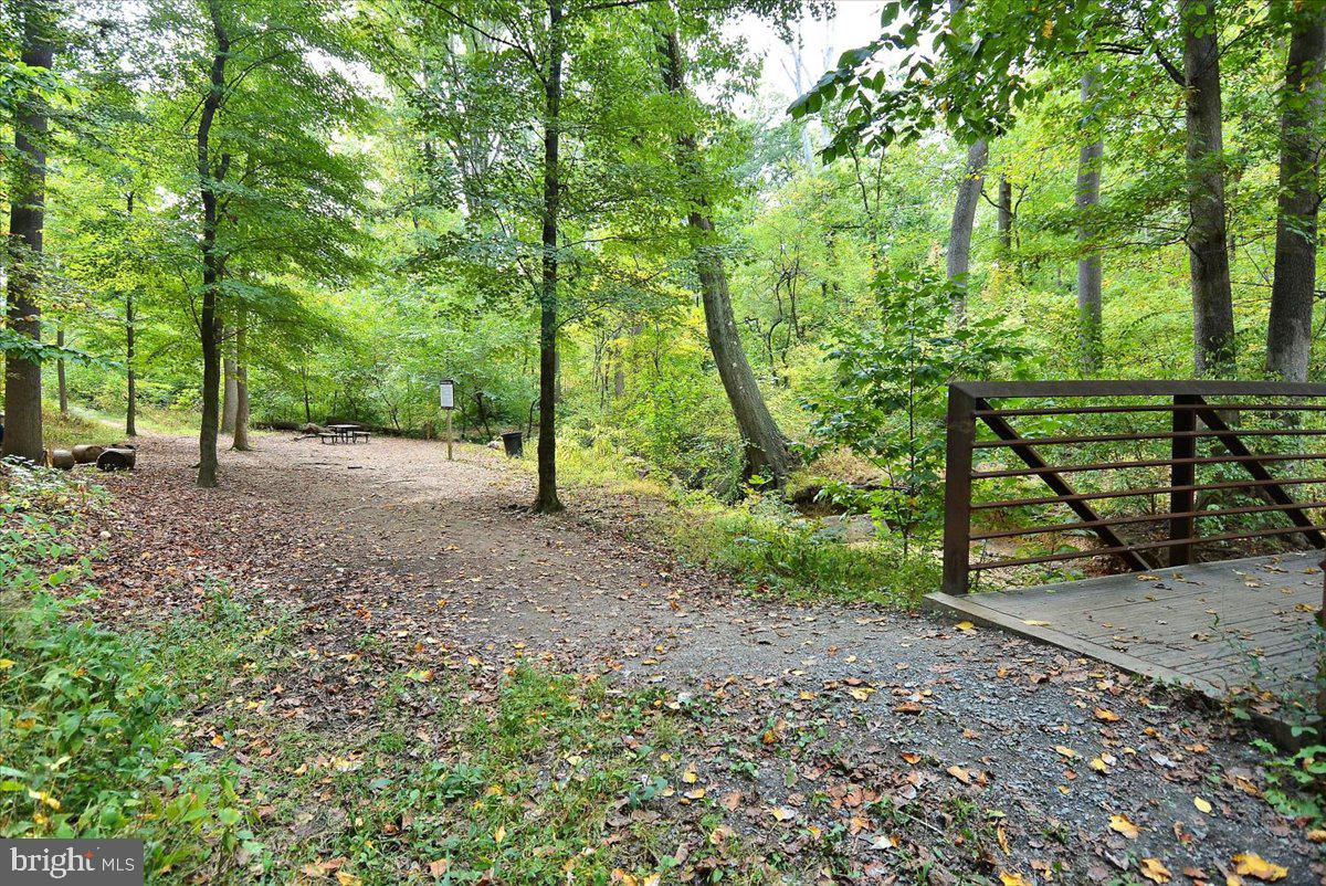 3201 Circle Hill Road Alexandria, VA 22305 - Photo 31 of 37 property backs to Monticello Park