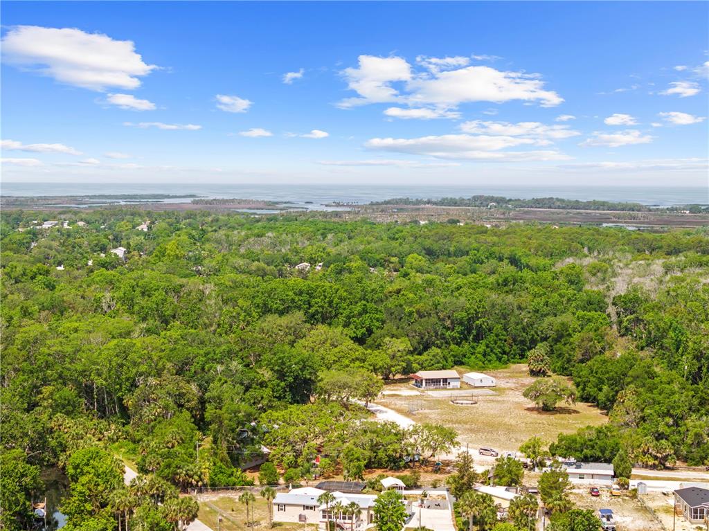 6380 Richard Drive Weeki Wachee, FL 34607 - Photo 12 of 59