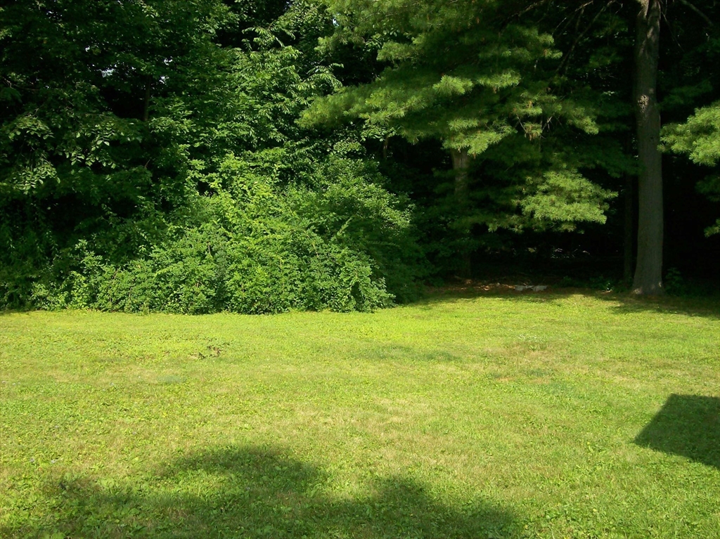 480 Pleasant Street Leicester, MA 01524 - Photo 16 of 17 a view of yard with green space