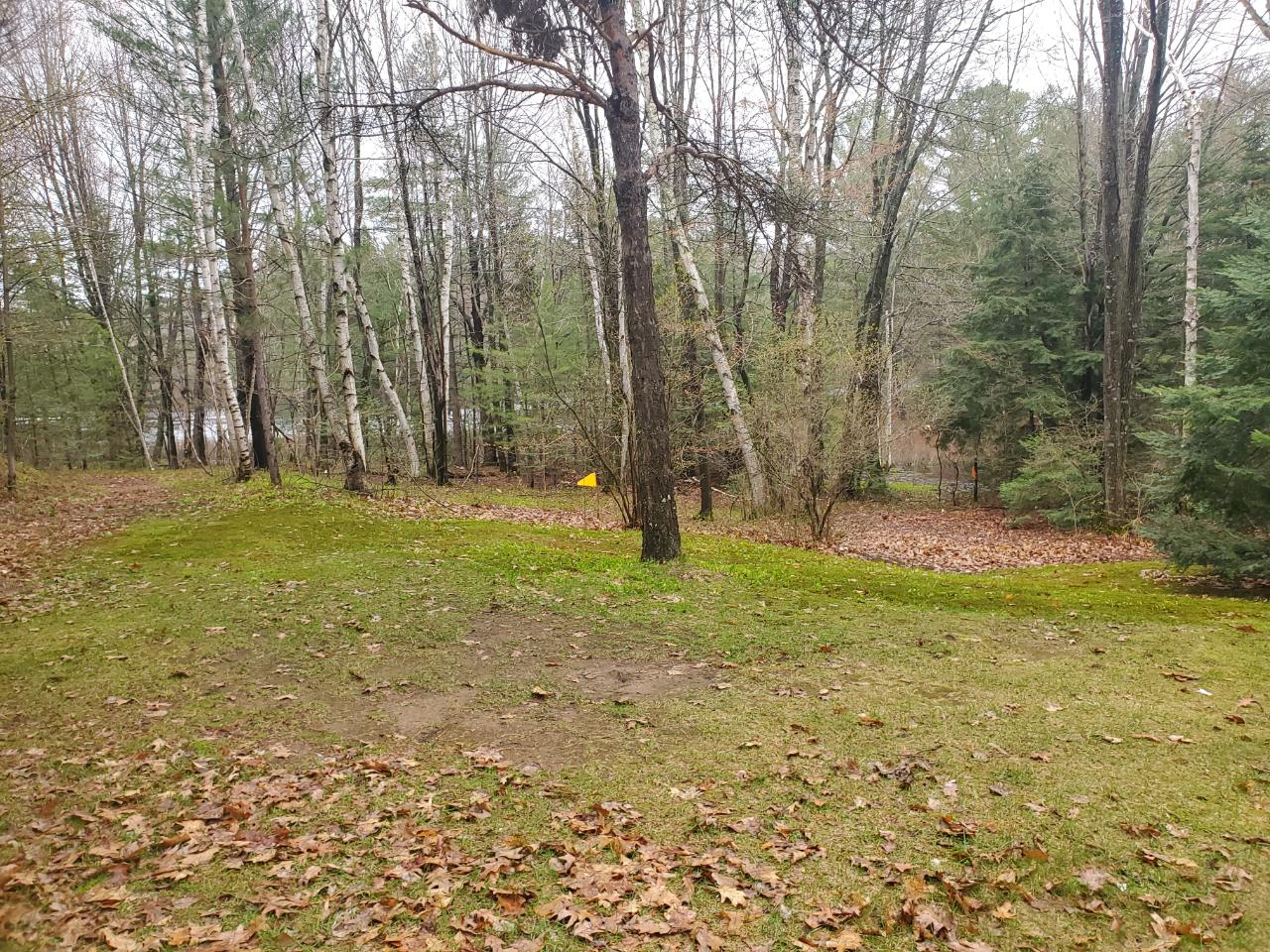 N9091 Forest Road Deerbrook, WI 54424 - Photo 23 of 34 Gallery Image 23