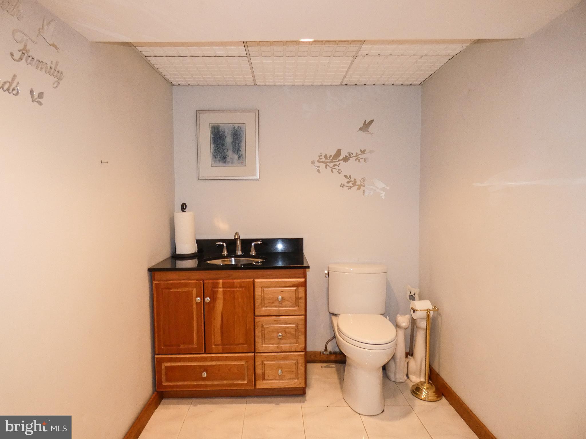 46 Lincoln Drive Laurel Springs, NJ 08021 - Photo 35 of 56 Bathroom Lower Level