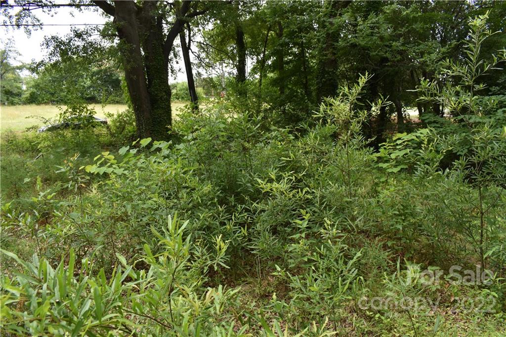 856 Startown Road Lincolnton, NC 28092 - Photo 11 of 27 Gallery Image 11