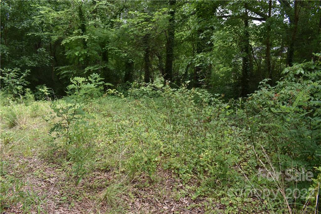 856 Startown Road Lincolnton, NC 28092 - Photo 8 of 27 Gallery Image 8