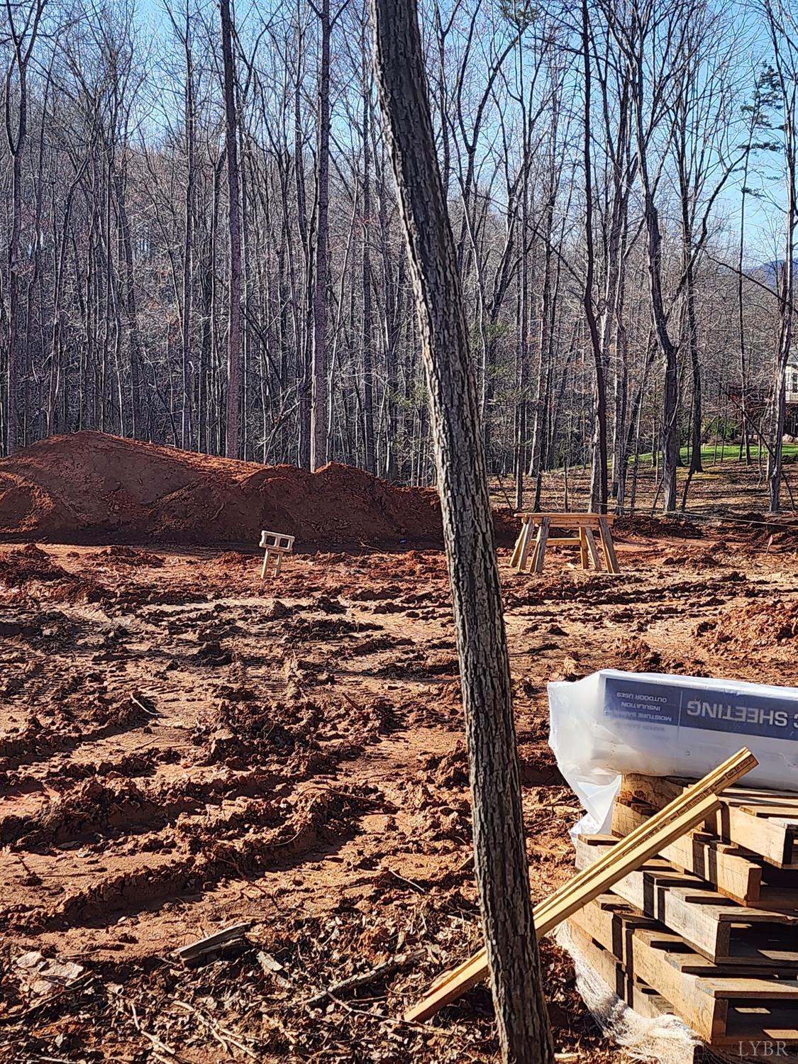 2262 Hooper Road Forest, VA 24551 - Photo 2 of 5 a view of a backyard with large trees