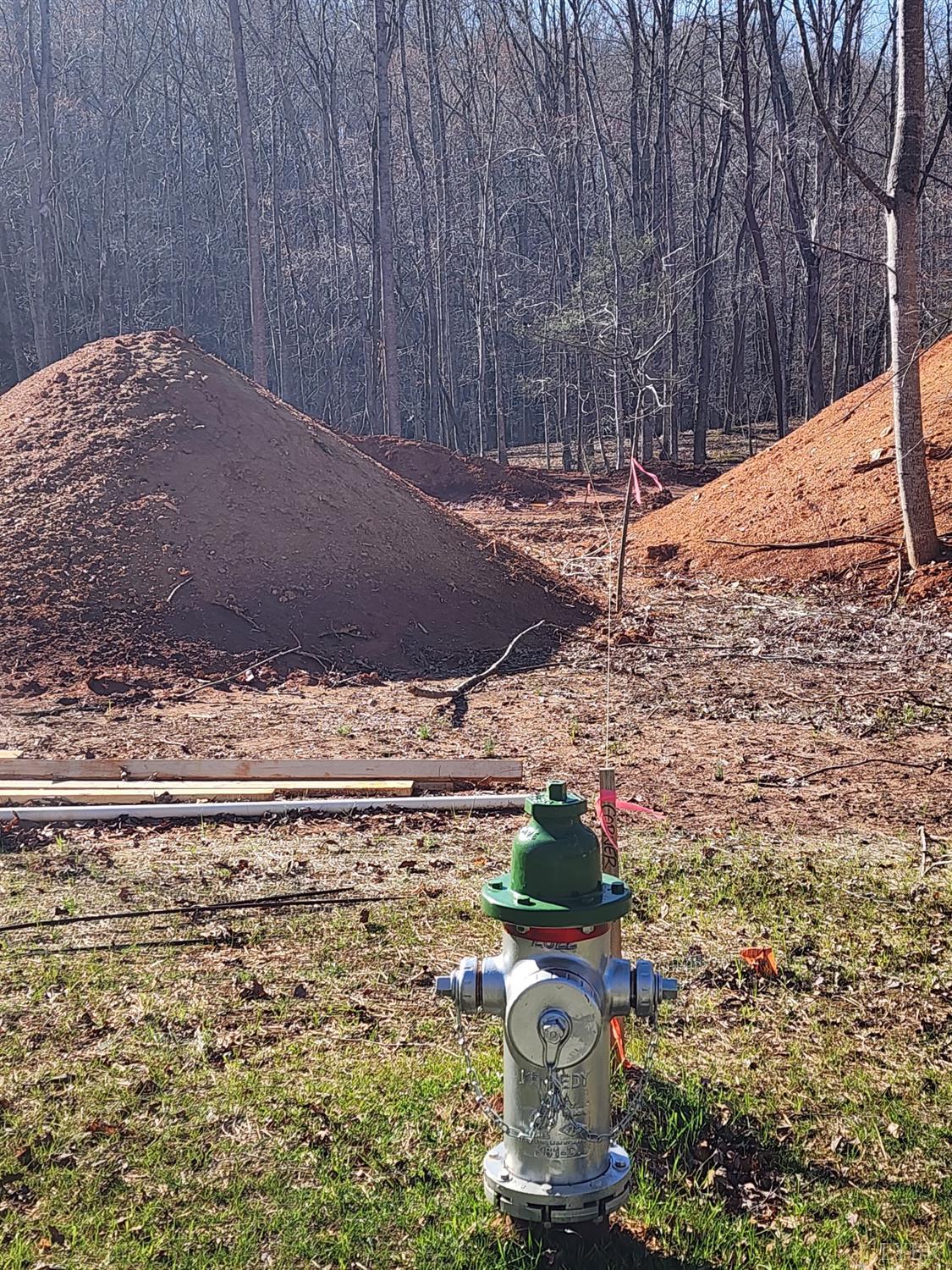 2262 Hooper Road Forest, VA 24551 - Photo 5 of 5 a vase of flowers sitting on a table
