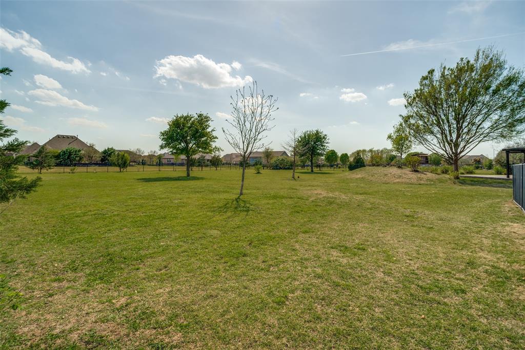 1929 Canyon Road Celina, TX 75009 - Photo 36 of 39 View of yard