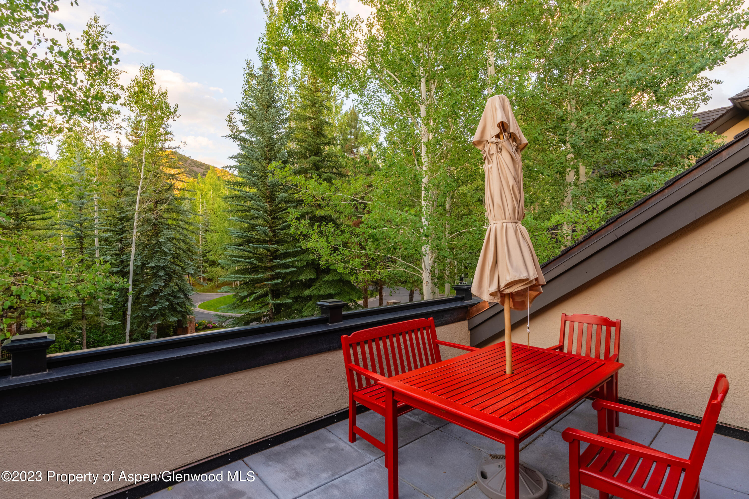 507 Streamside Court Snowmass Village, CO 81615 - Photo 12 of 30 Photo29
