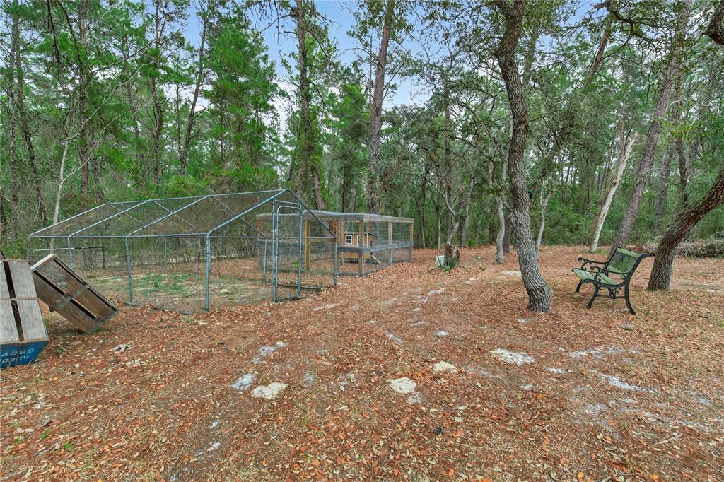 117 Stoddard Road Crescent City, FL 32112 - Photo 66 of 83