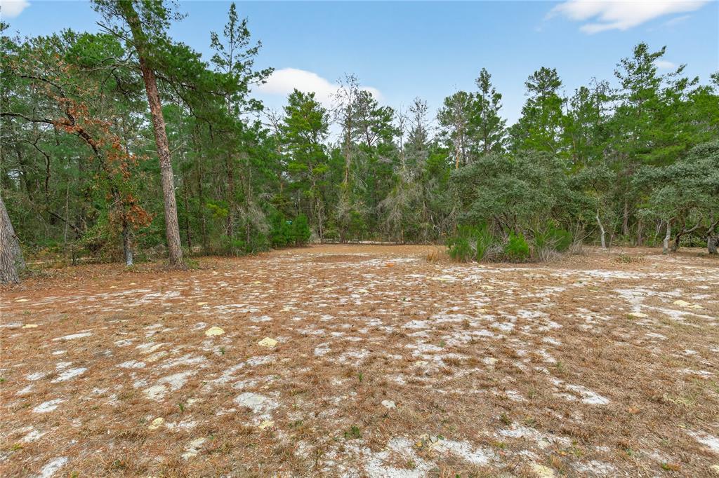 117 Stoddard Road Crescent City, FL 32112 - Photo 69 of 83