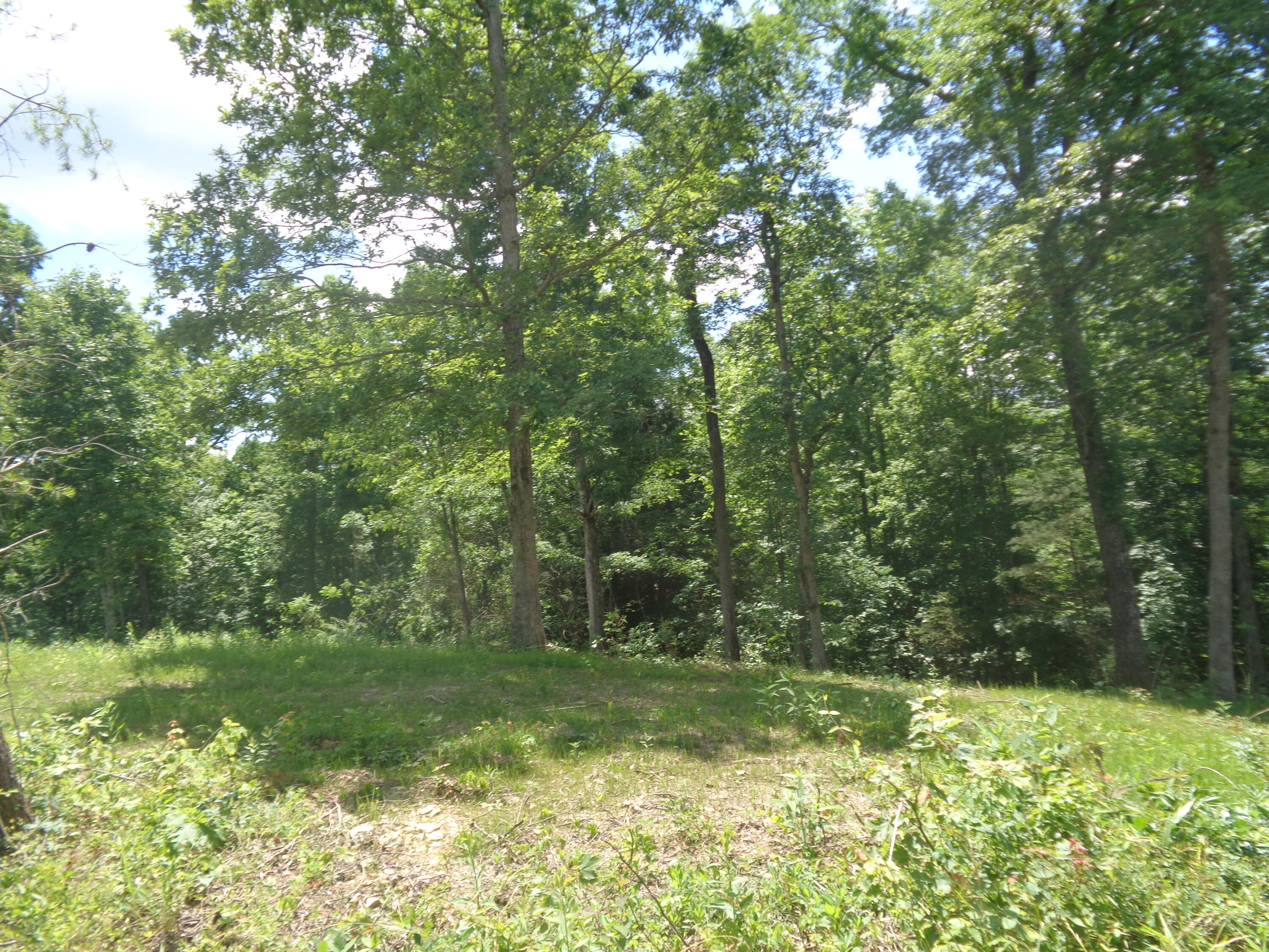 Lot 3 Fount Hubbard Road London, KY 40741 - Photo 16 of 25 DSC04875