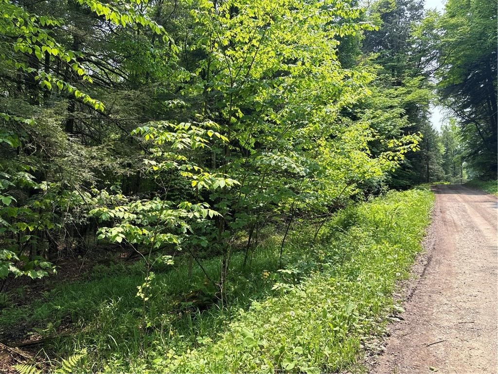 Spring Road South Dansville, NY 14437 - Photo 5 of 11