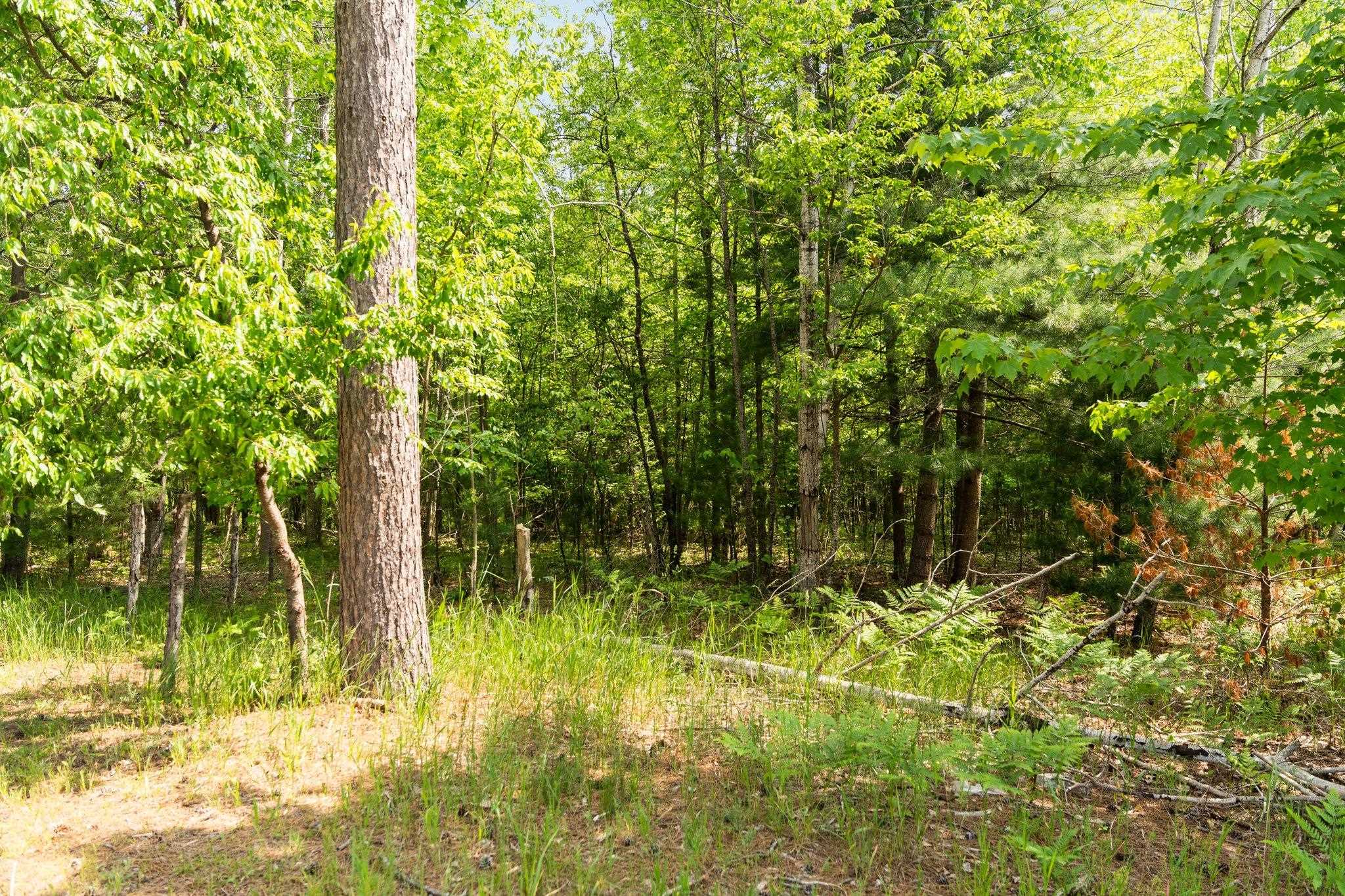 6038 Maple Hill Road Southwest Fife Lake, MI 49633 - Photo 19 of 24