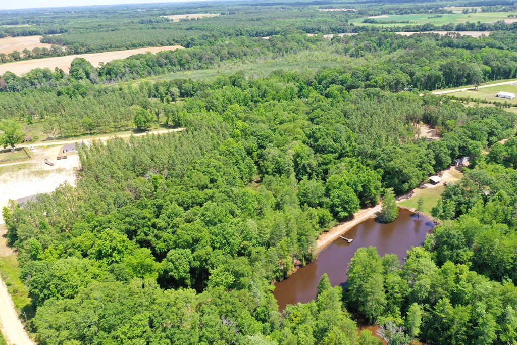 0 South Watford Road Slocomb, AL 36375 - Photo 14 of 14