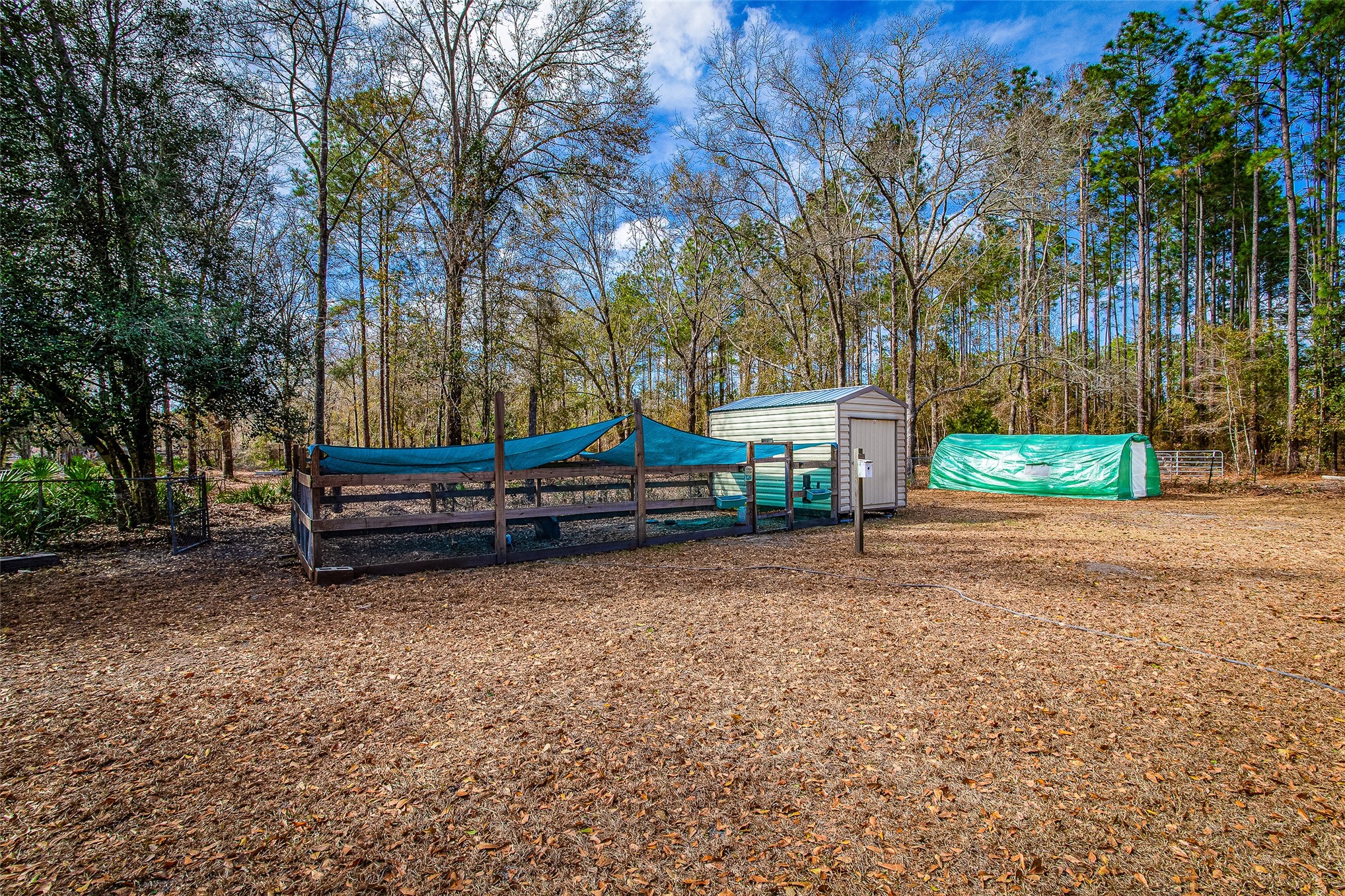 17098 Cross Branch Road Hilliard, FL 32046 - Photo 25 of 48 Chicken Coop