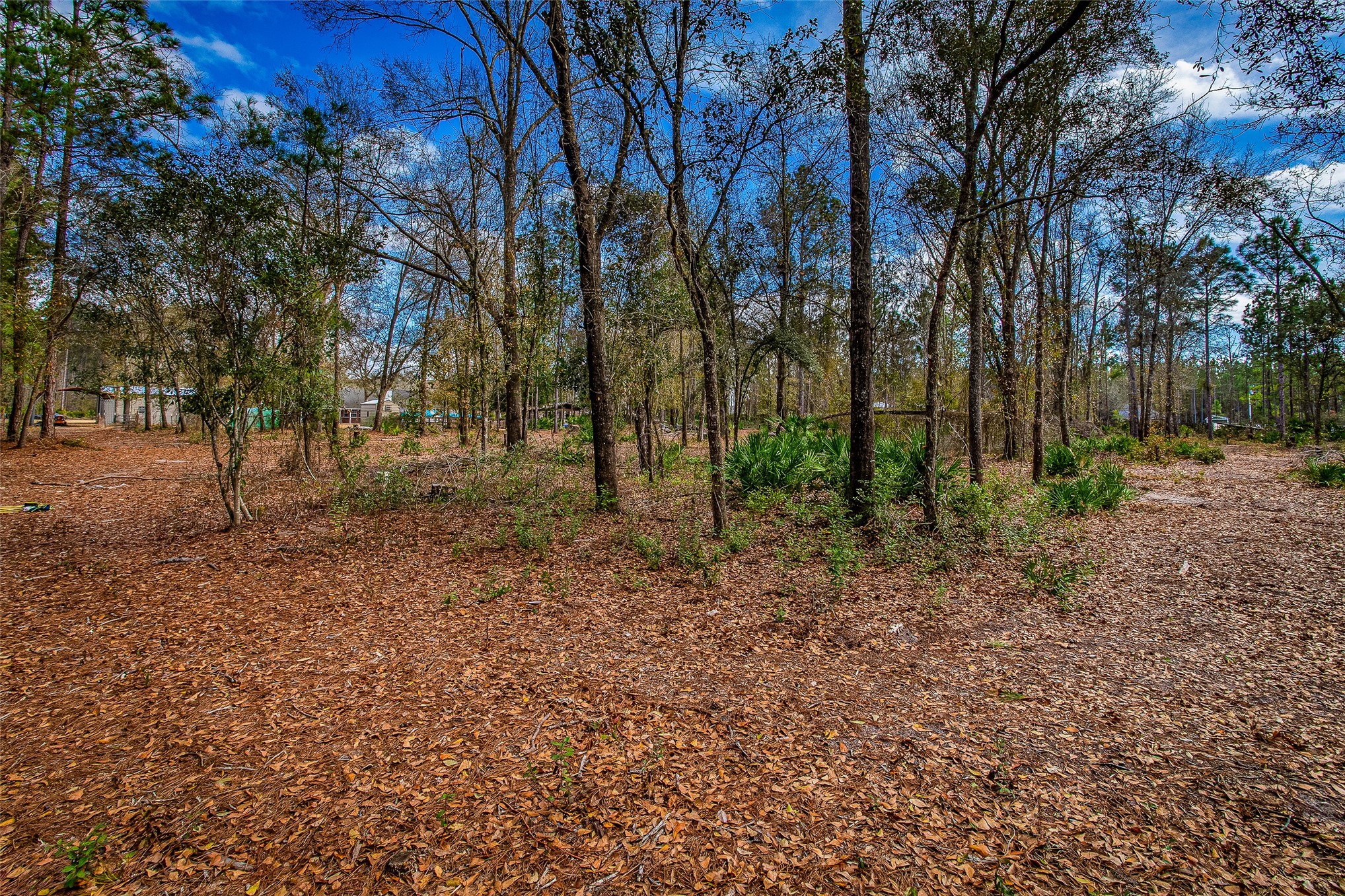 17098 Cross Branch Road Hilliard, FL 32046 - Photo 34 of 48