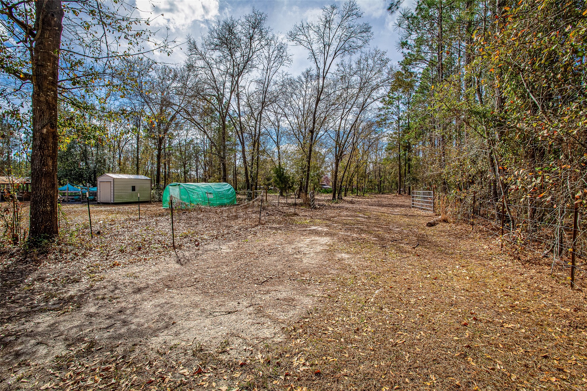 17098 Cross Branch Road Hilliard, FL 32046 - Photo 34 of 71 a backyard of a house with lots of green space