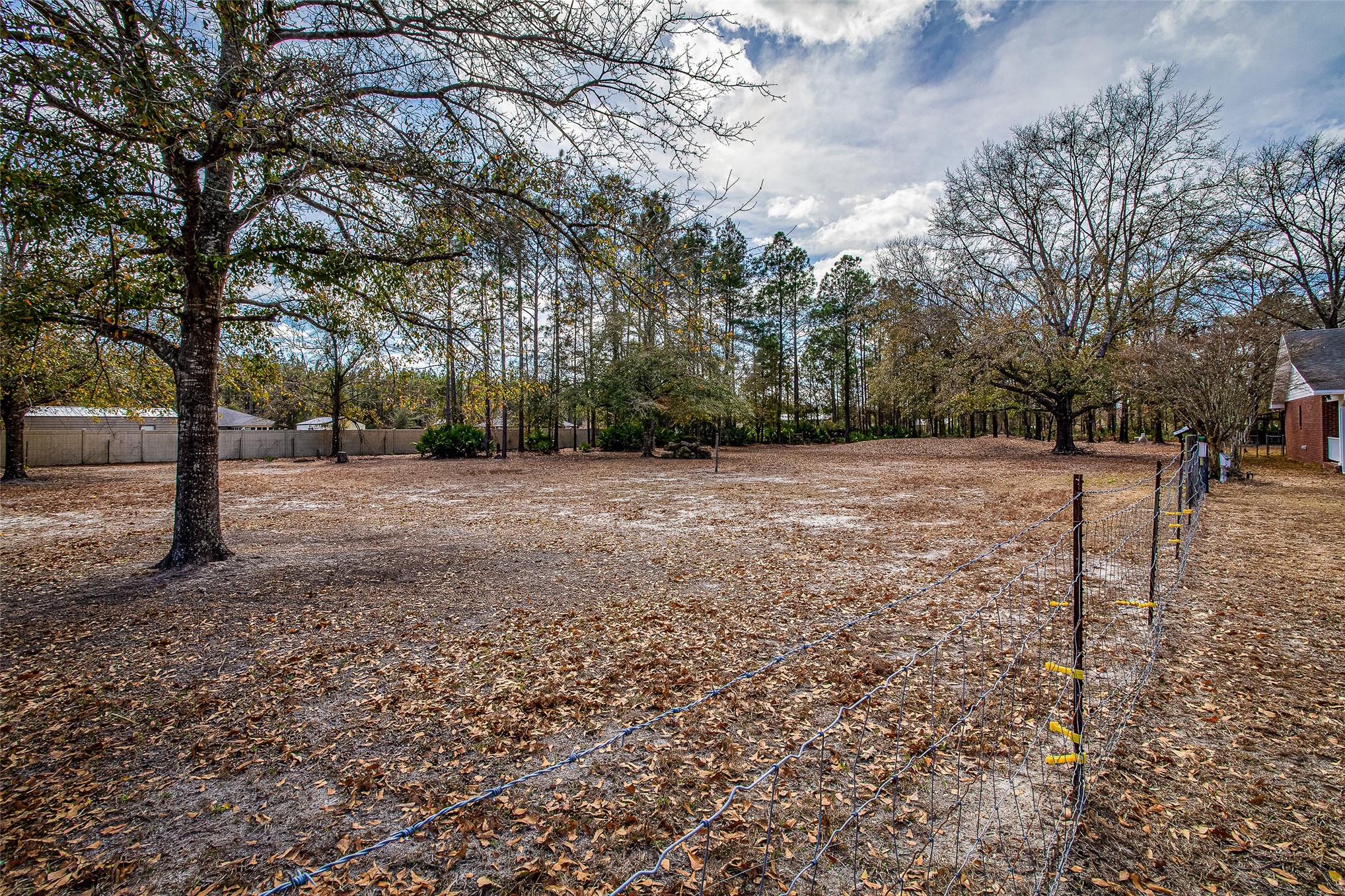 17098 Cross Branch Road Hilliard, FL 32046 - Photo 38 of 71 a view of a trees with a yard