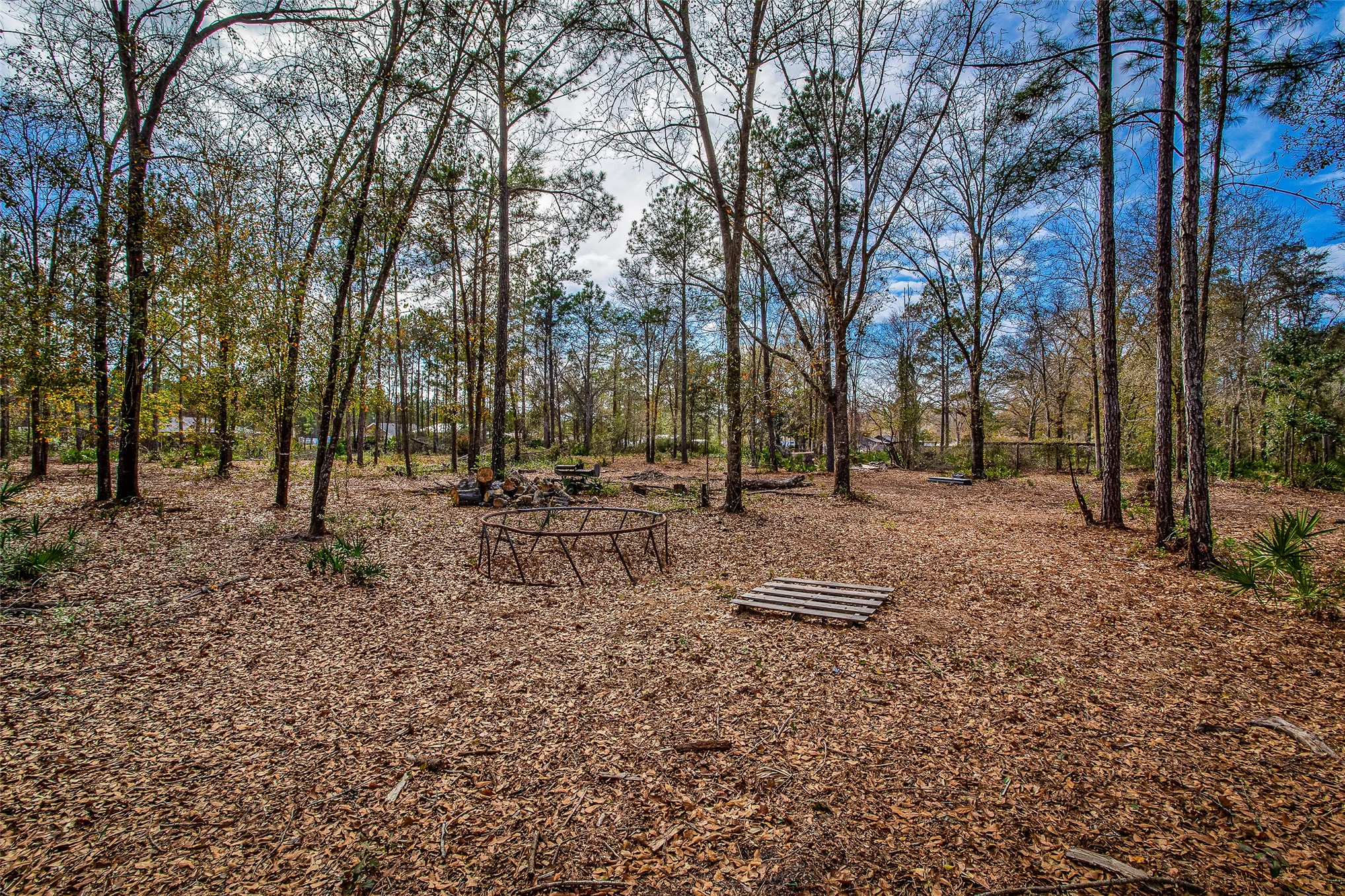 17098 Cross Branch Road Hilliard, FL 32046 - Photo 40 of 71 a view of road with trees