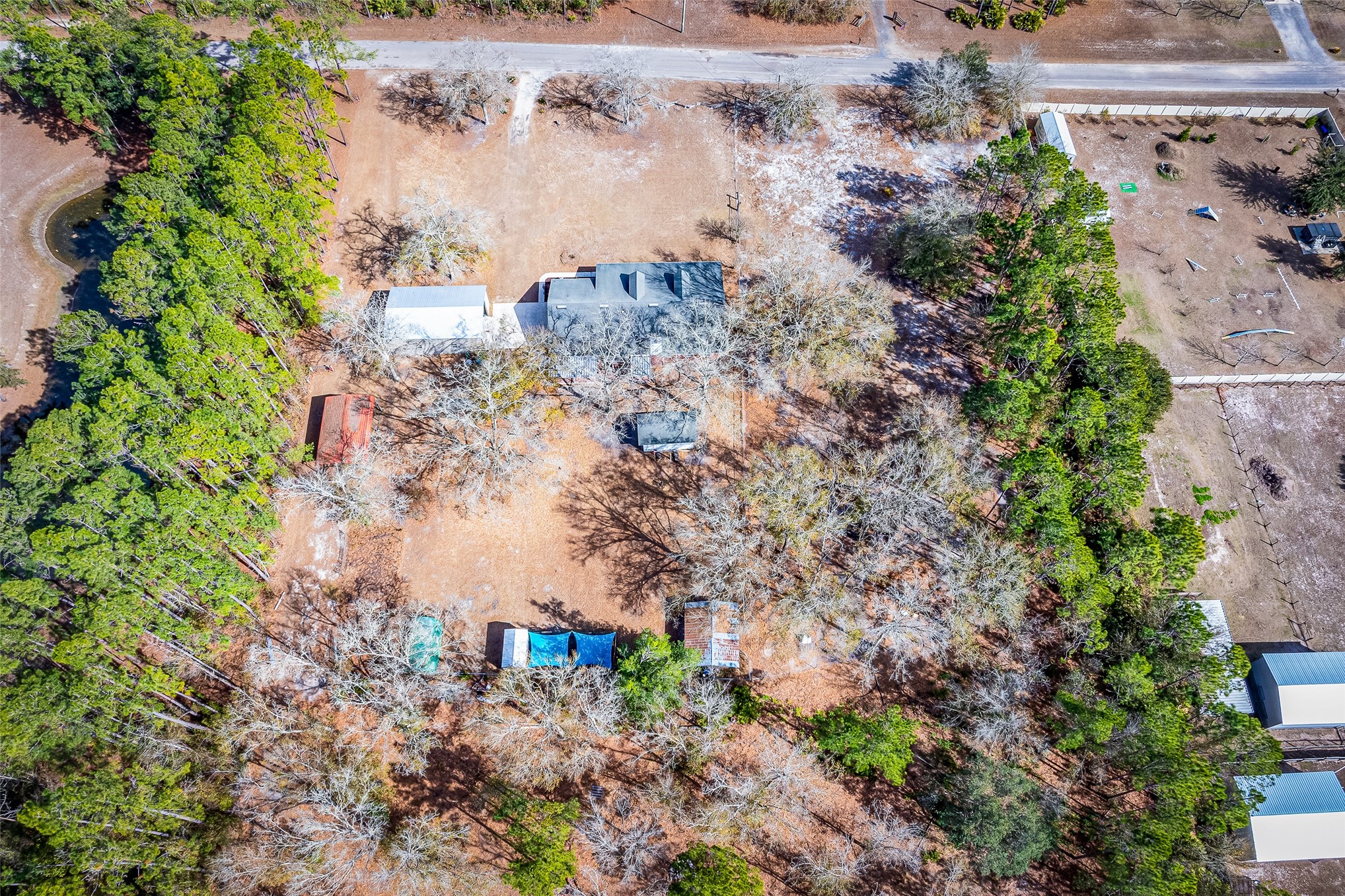 17098 Cross Branch Road Hilliard, FL 32046 - Photo 51 of 71 a view of a yard with plants and large trees