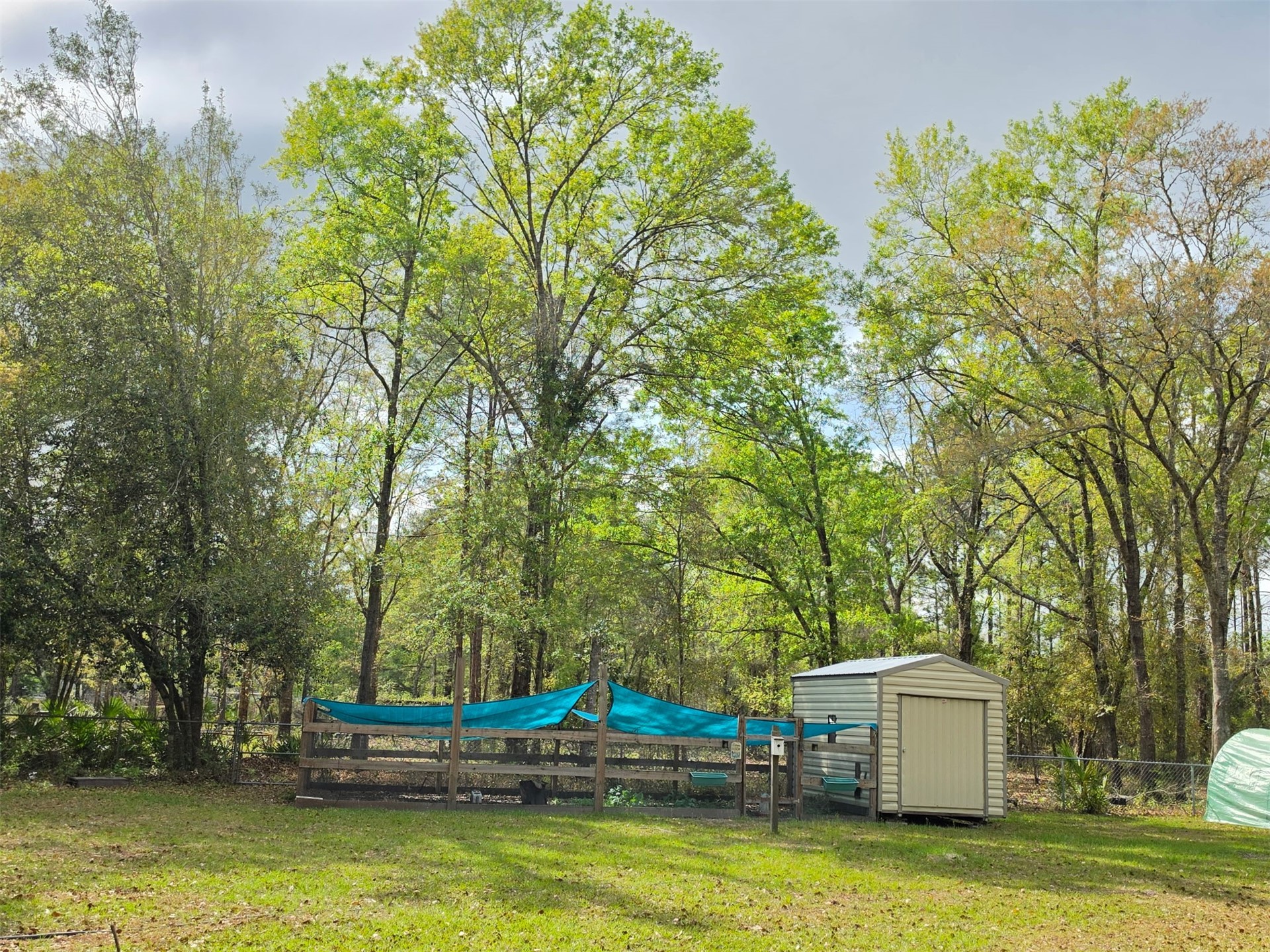17098 Cross Branch Road Hilliard, FL 32046 - Photo 64 of 71 a view of a swimming pool and trees in the background