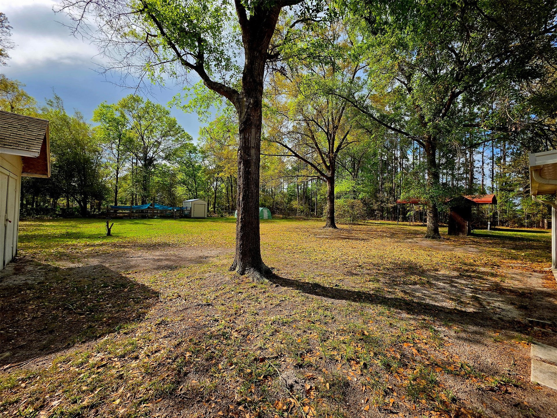 17098 Cross Branch Road Hilliard, FL 32046 - Photo 70 of 71 a view of a yard with a tree
