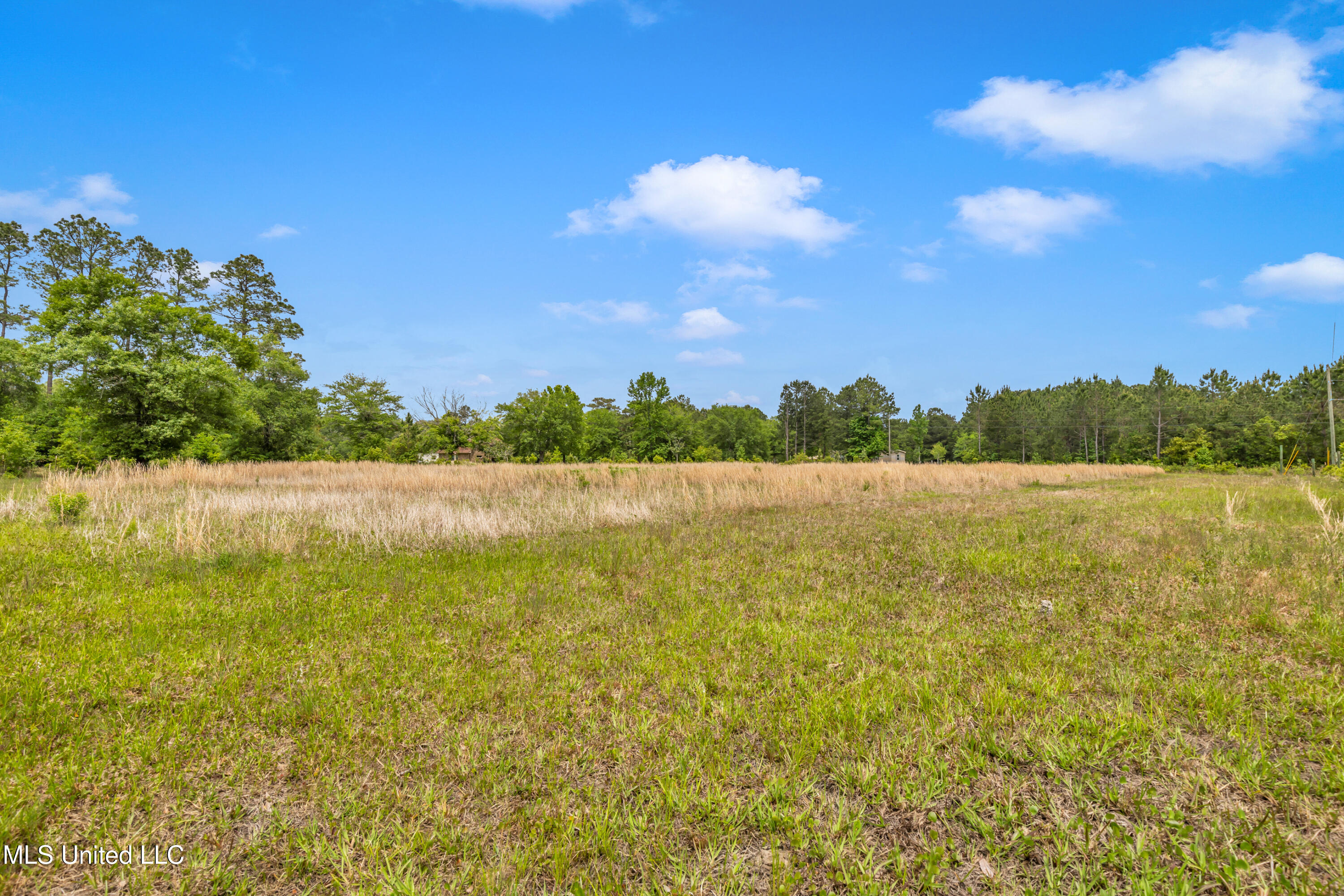 11300 Max Bryant Road Moss Point, MS 39562 - Photo 18 of 51 11300MaxBryantRd-18