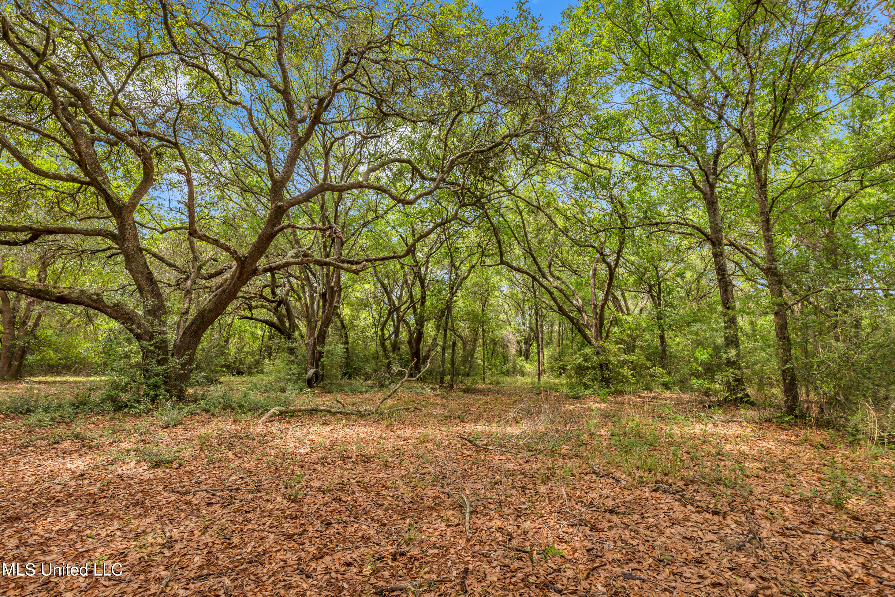 11300 Max Bryant Road Moss Point, MS 39562 - Photo 22 of 51 11300MaxBryantRd-22