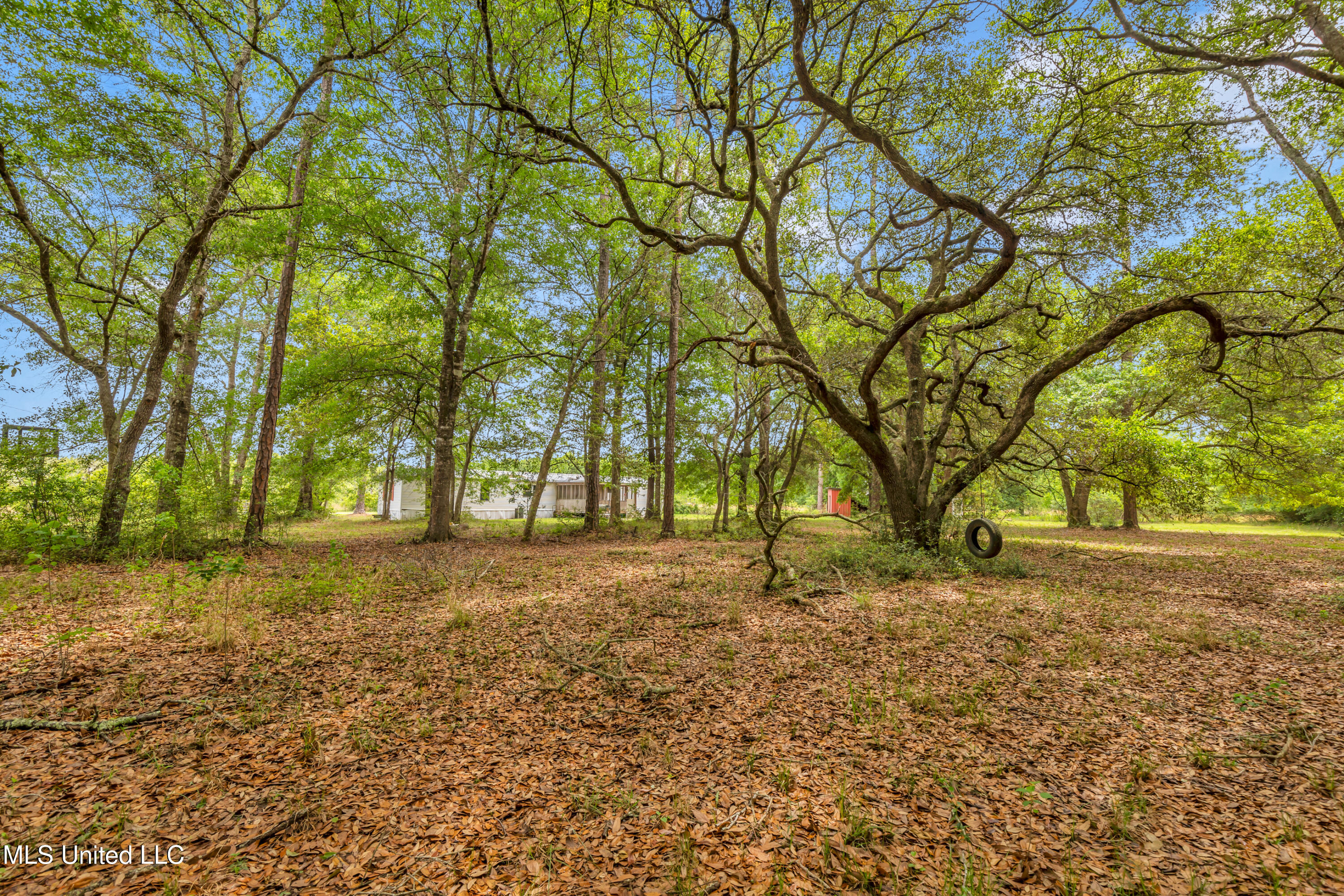 11300 Max Bryant Road Moss Point, MS 39562 - Photo 23 of 51 11300MaxBryantRd-23