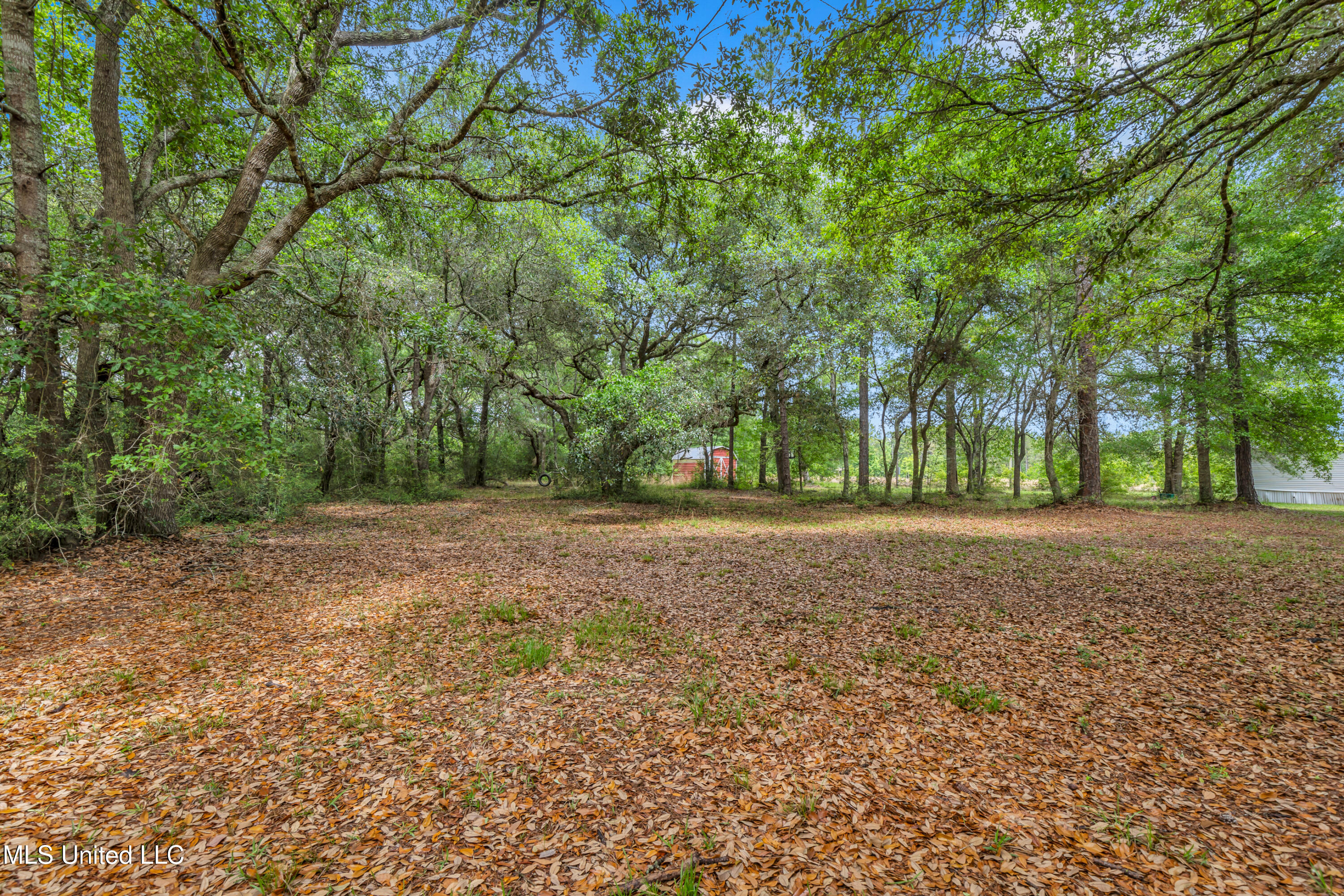 11300 Max Bryant Road Moss Point, MS 39562 - Photo 24 of 51 11300MaxBryantRd-24