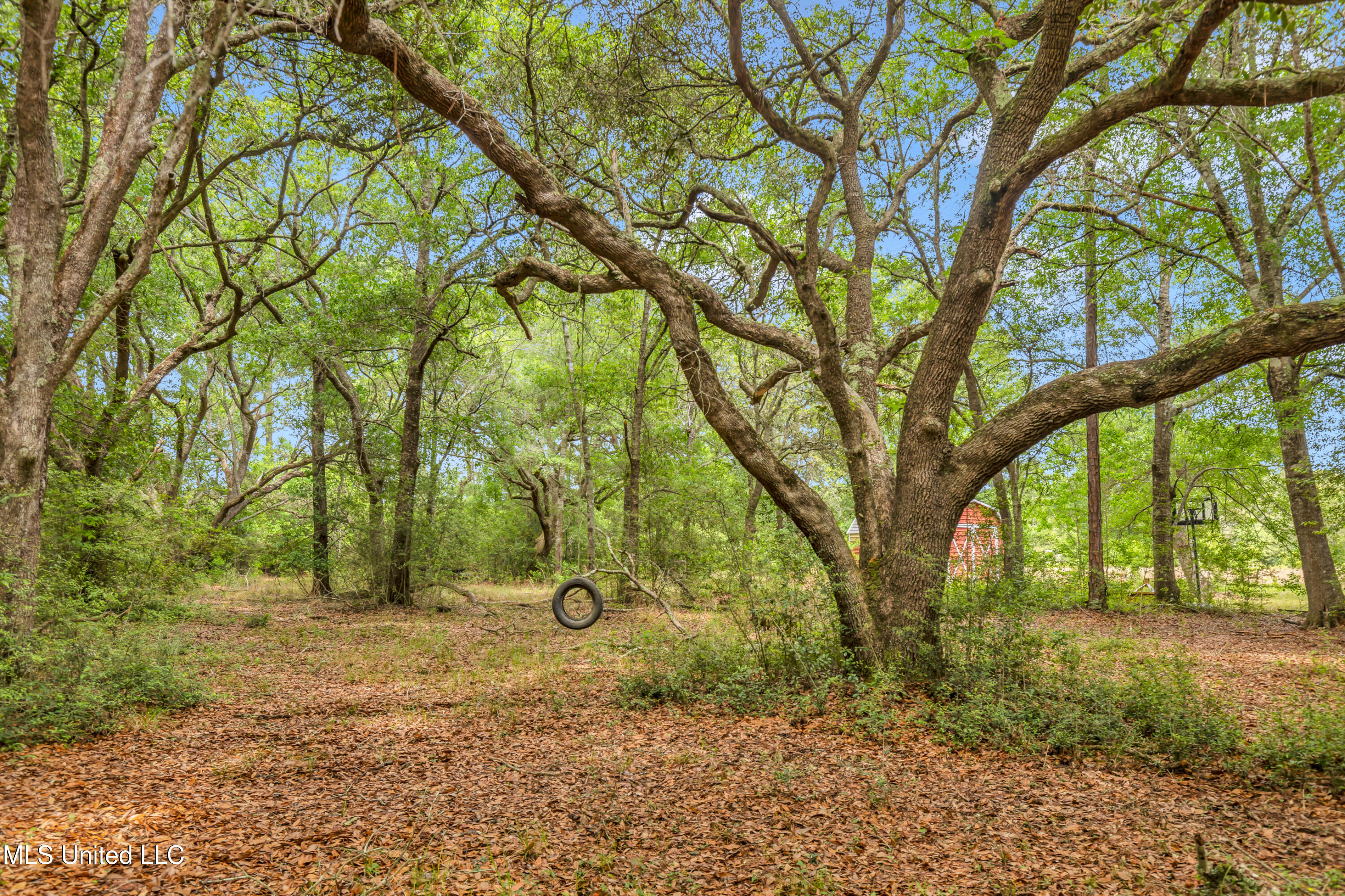 11300 Max Bryant Road Moss Point, MS 39562 - Photo 25 of 51 11300MaxBryantRd-25
