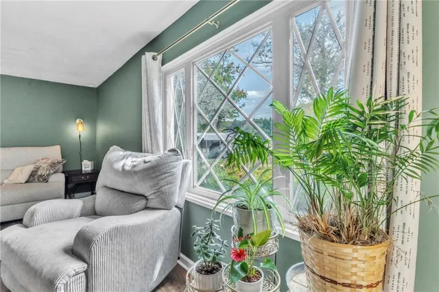 a living room with furniture and a potted plant