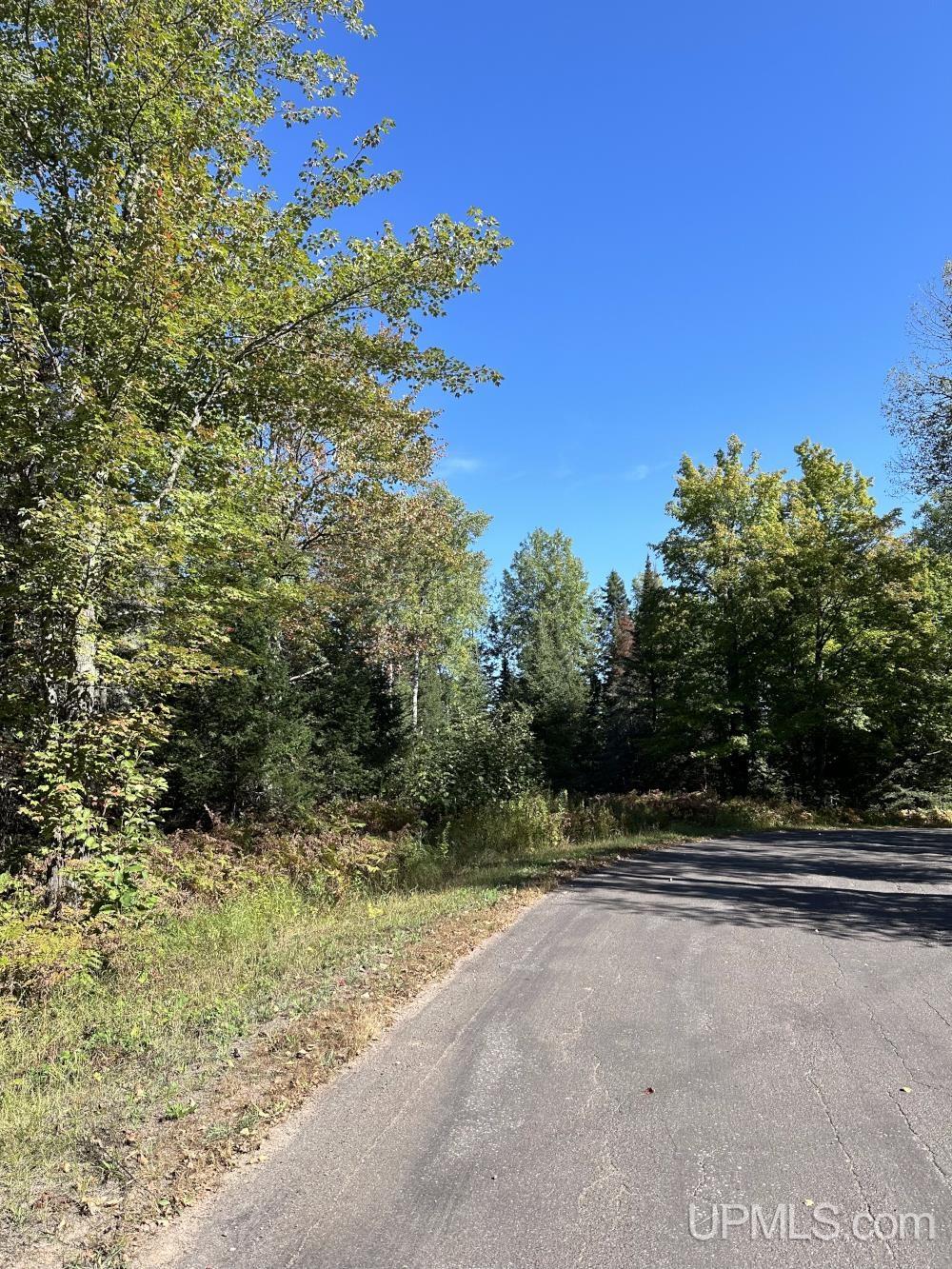 Lot 4 State Line Road Hurley, WI 54534 - Photo 1 of 5 Gallery Image 1