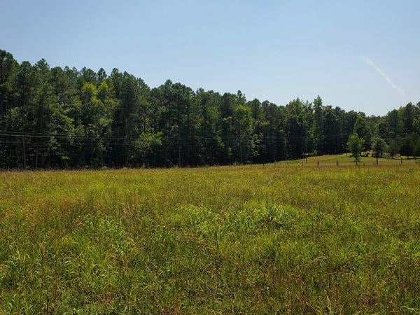 610 Wills Road, Unit 2 Blackstone, VA 23824 - Photo 10 of 23 Gallery Image 10