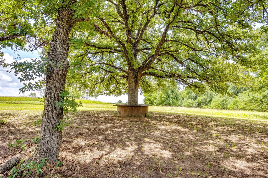 10287 Fm 1749 Sunset, TX 76270 - Photo 30 of 40