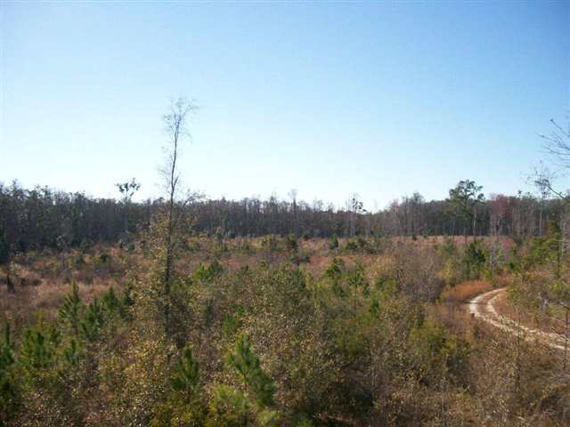 Xxx South Salt Road, Unit 3 Monticello, FL 32344 - Photo 3 of 5 Gallery Image 3