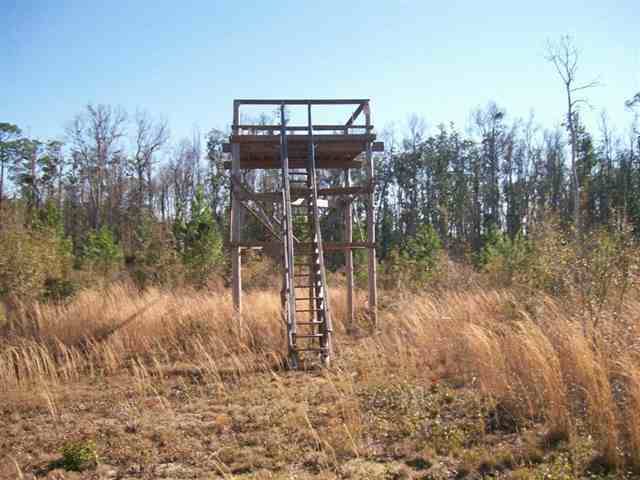 Xxx South Salt Road, Unit 3 Monticello, FL 32344 - Photo 4 of 5 Gallery Image 4