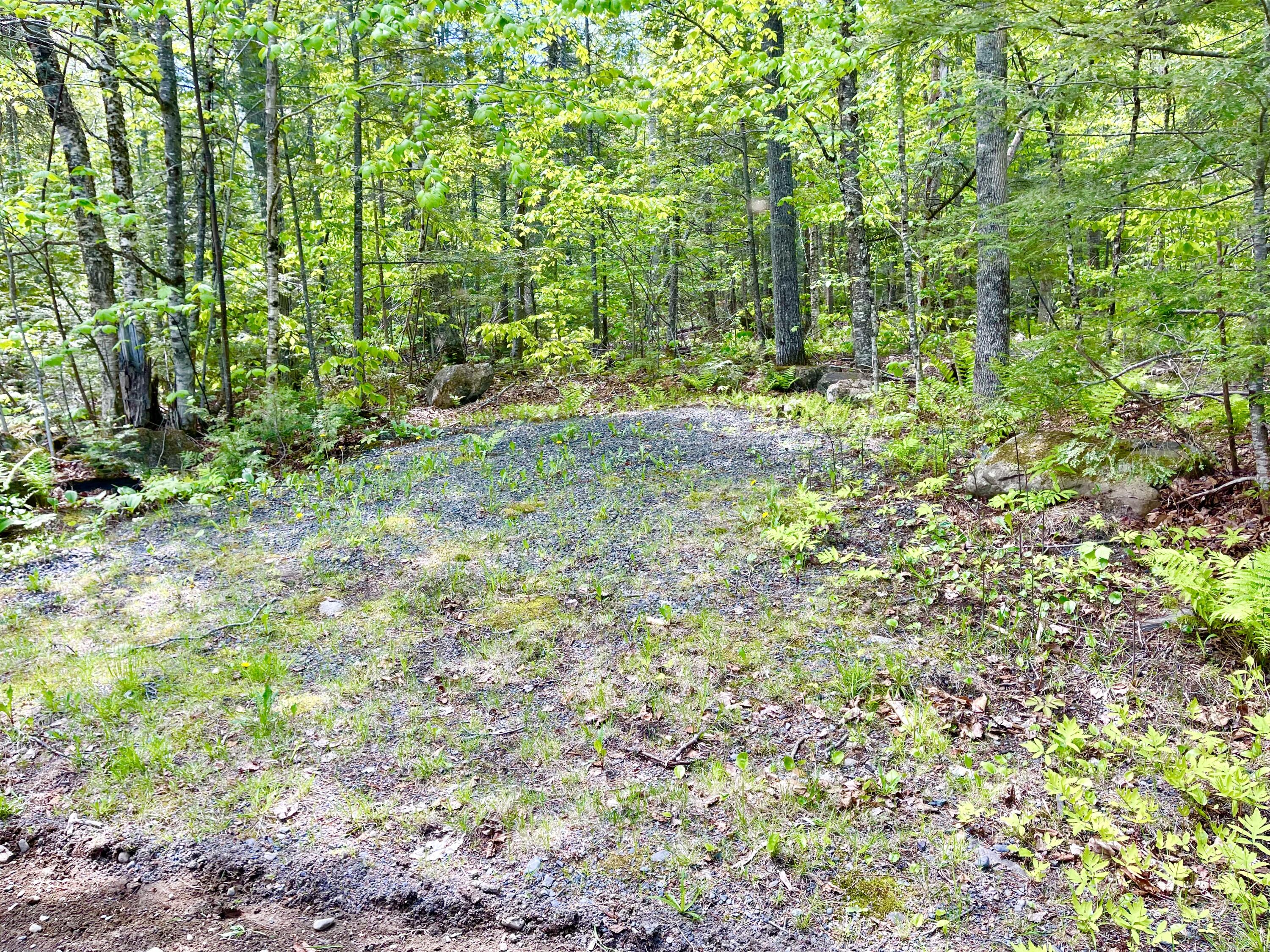 42 South Shore Rd Lake View Milo, ME 04463 - Photo 101 of 118 Lot for Parking & Future Garage?
