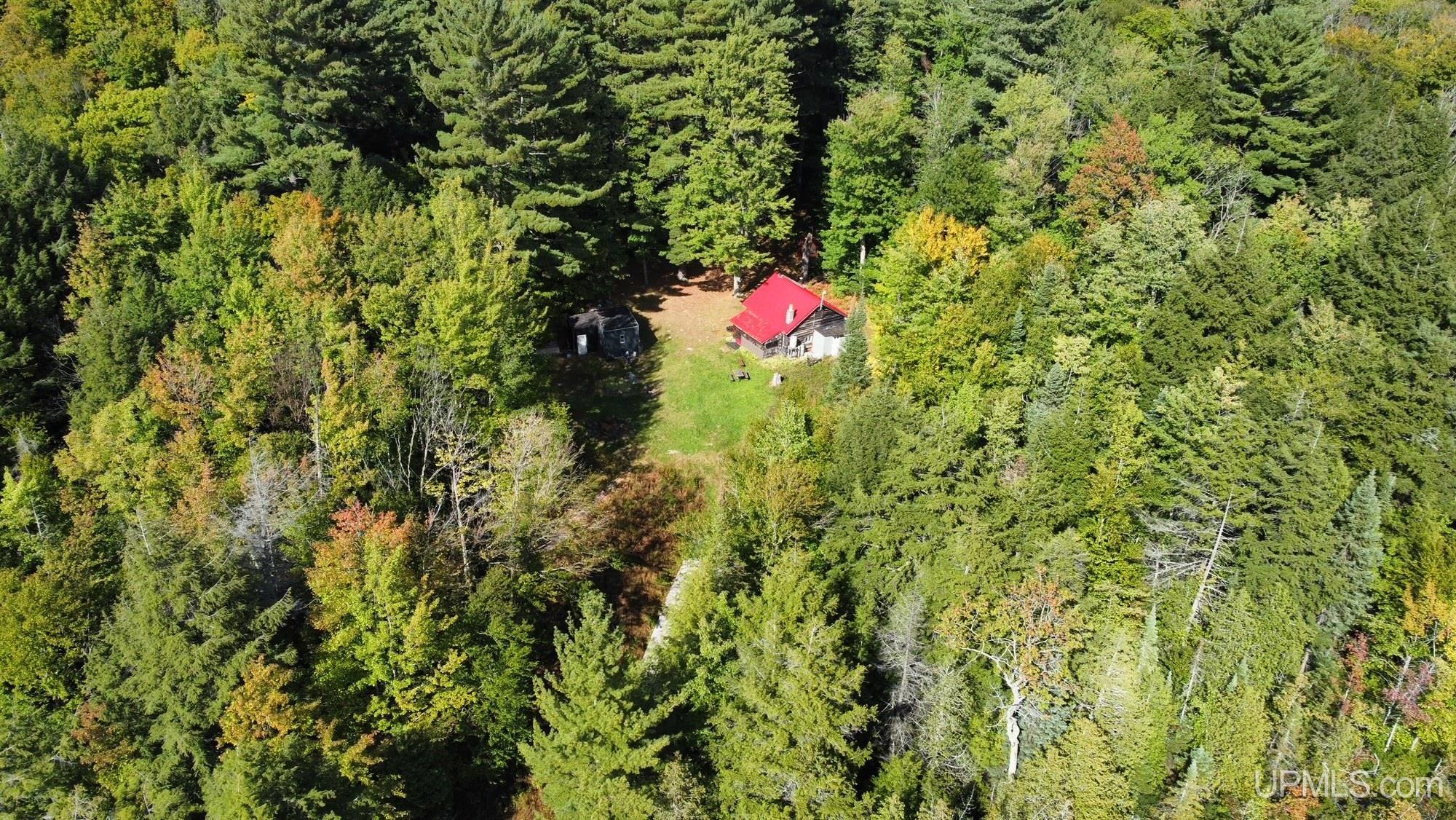 Tbd Tbd Howe Lake Road Deerton, MI 49822 - Photo 6 of 48