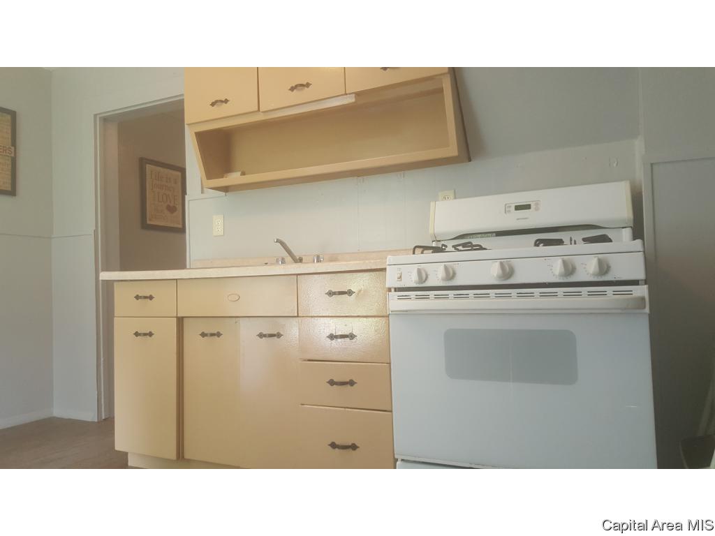 1121 Pulaski Street Lincoln, IL 62656 - Photo 13 of 14