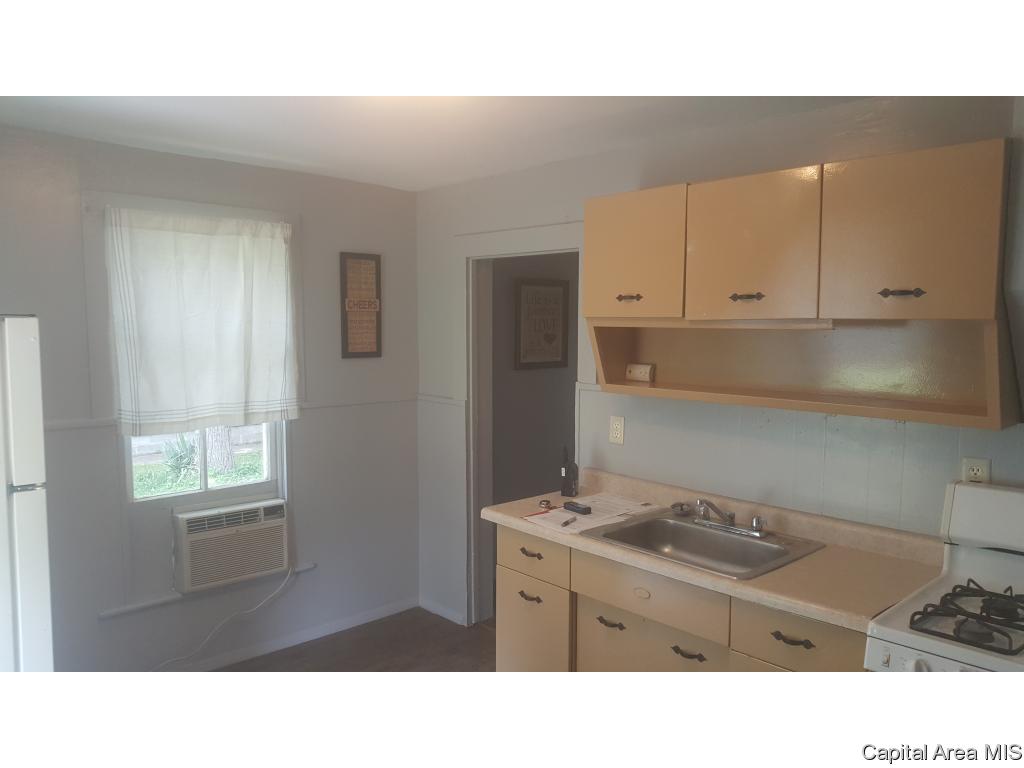 1121 Pulaski Street Lincoln, IL 62656 - Photo 3 of 14