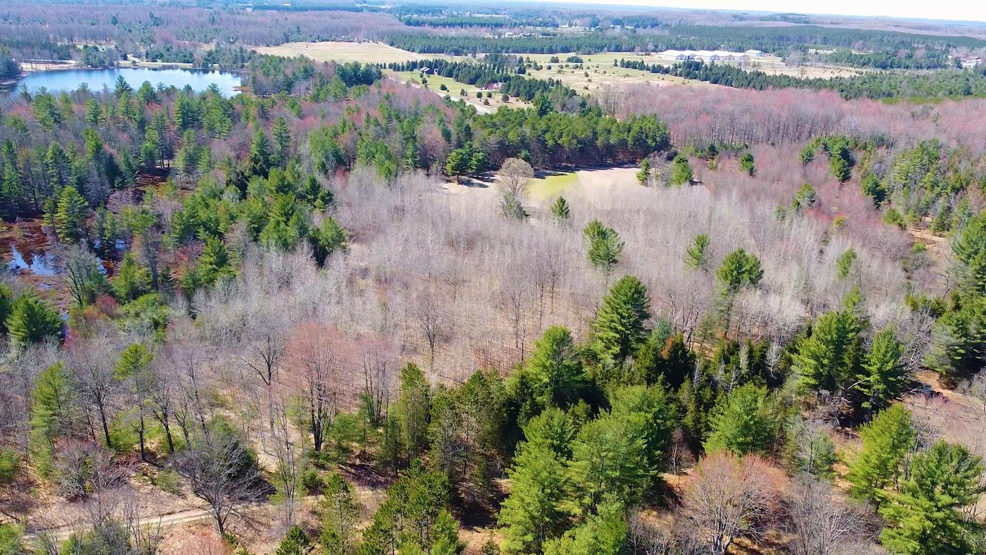 Southeast Spencer Road Southeast Kalkaska, MI 49646 - Photo 3 of 36