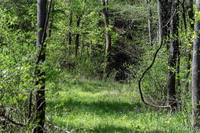 $960,000 | 0 Highway Z Vienna Mo 65582, Vienna, MO 65582